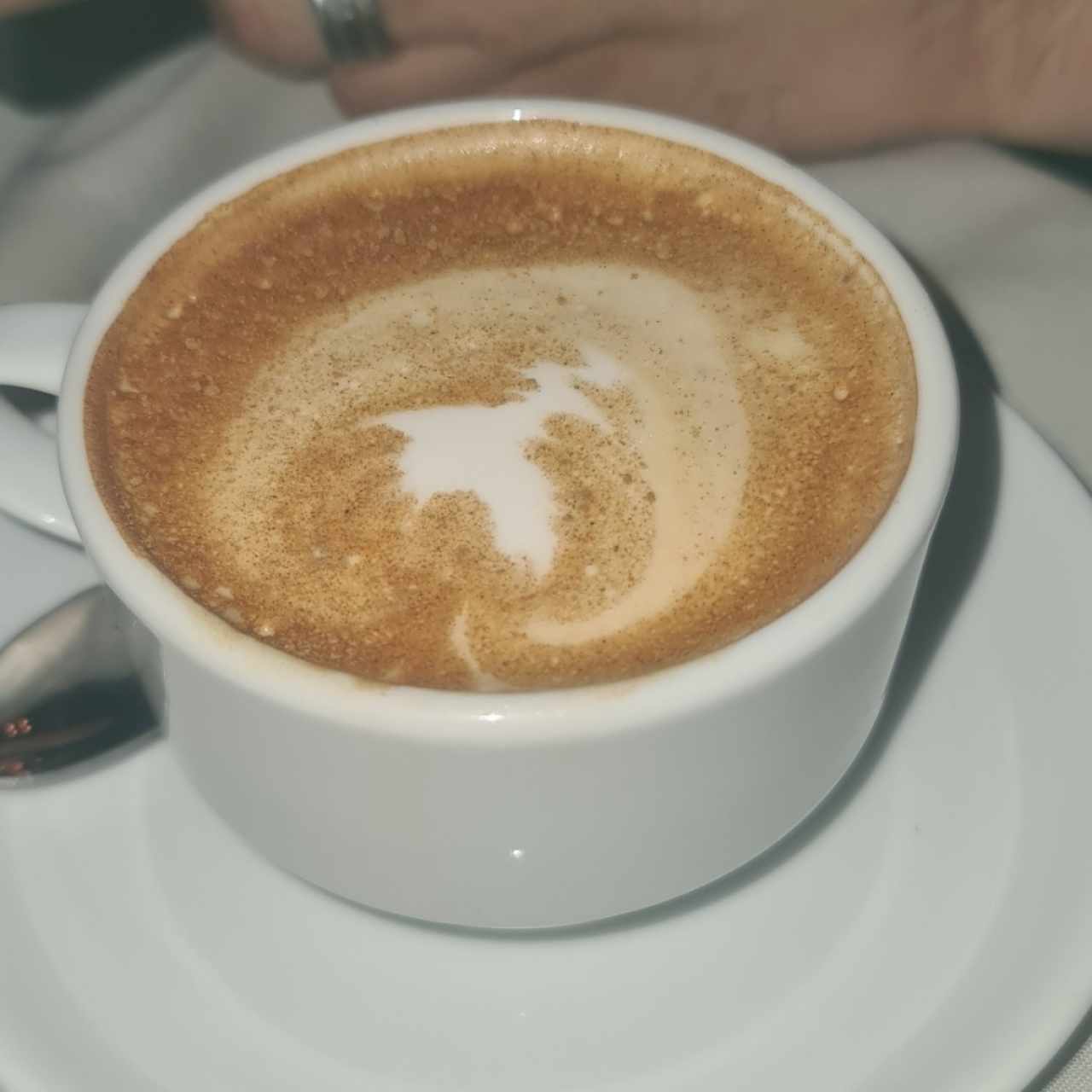 CAPUCCINO 