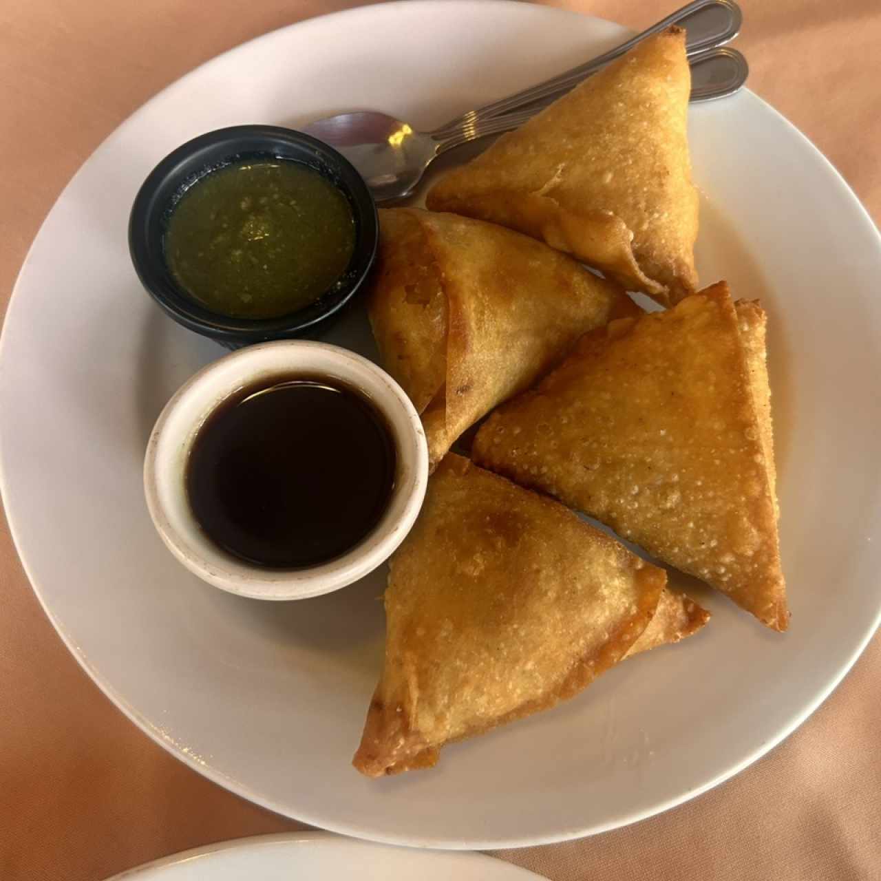 Chicken samosas 