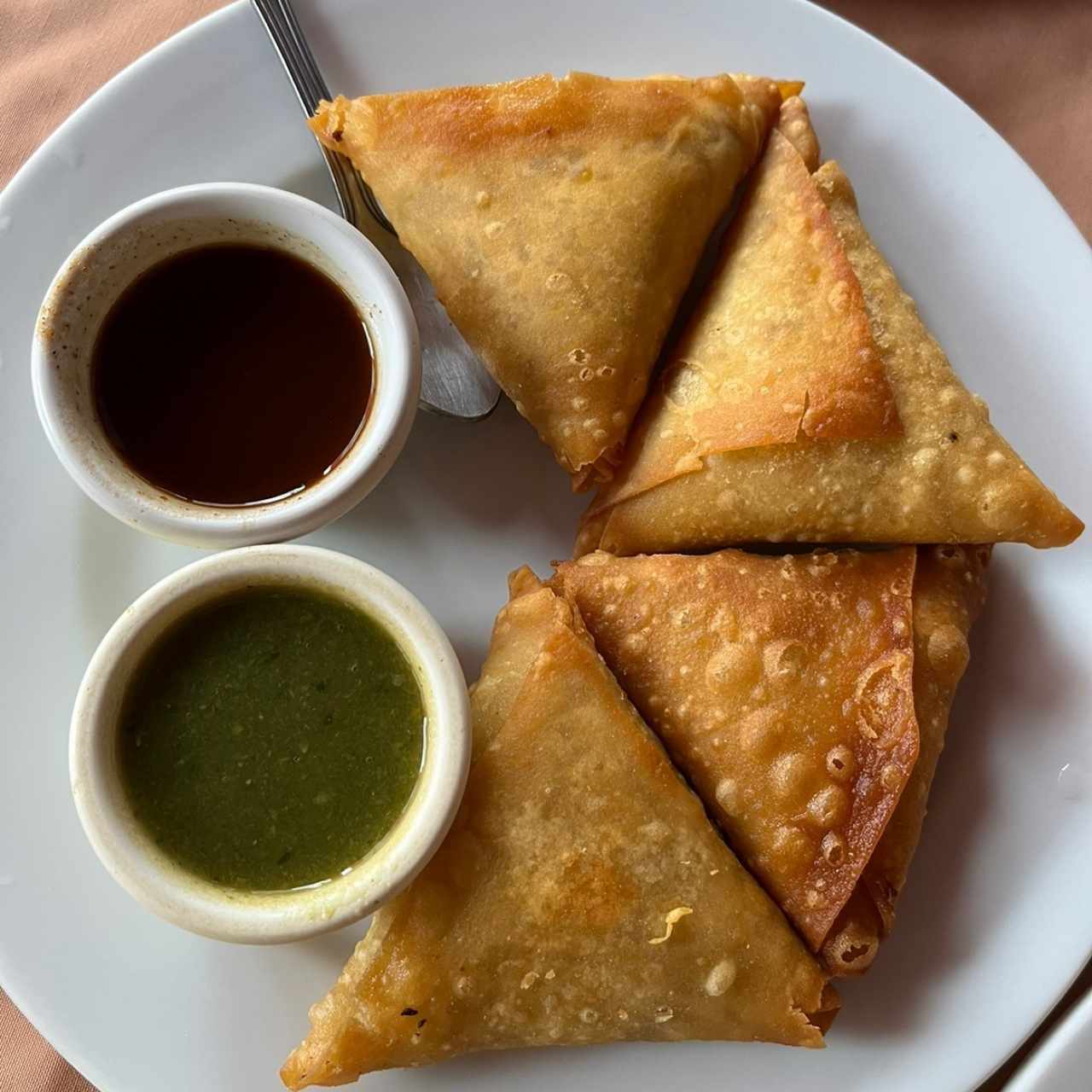 Meat Appetizers - Samosas de Pollo