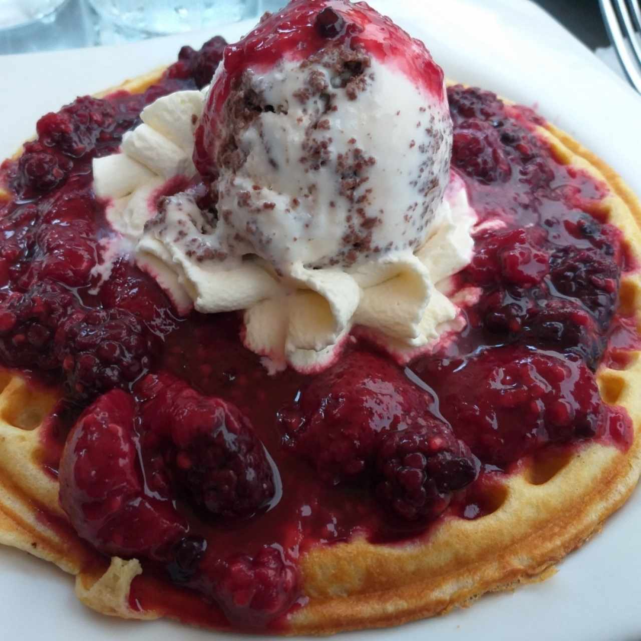 Waffle de Frutos del Bosque