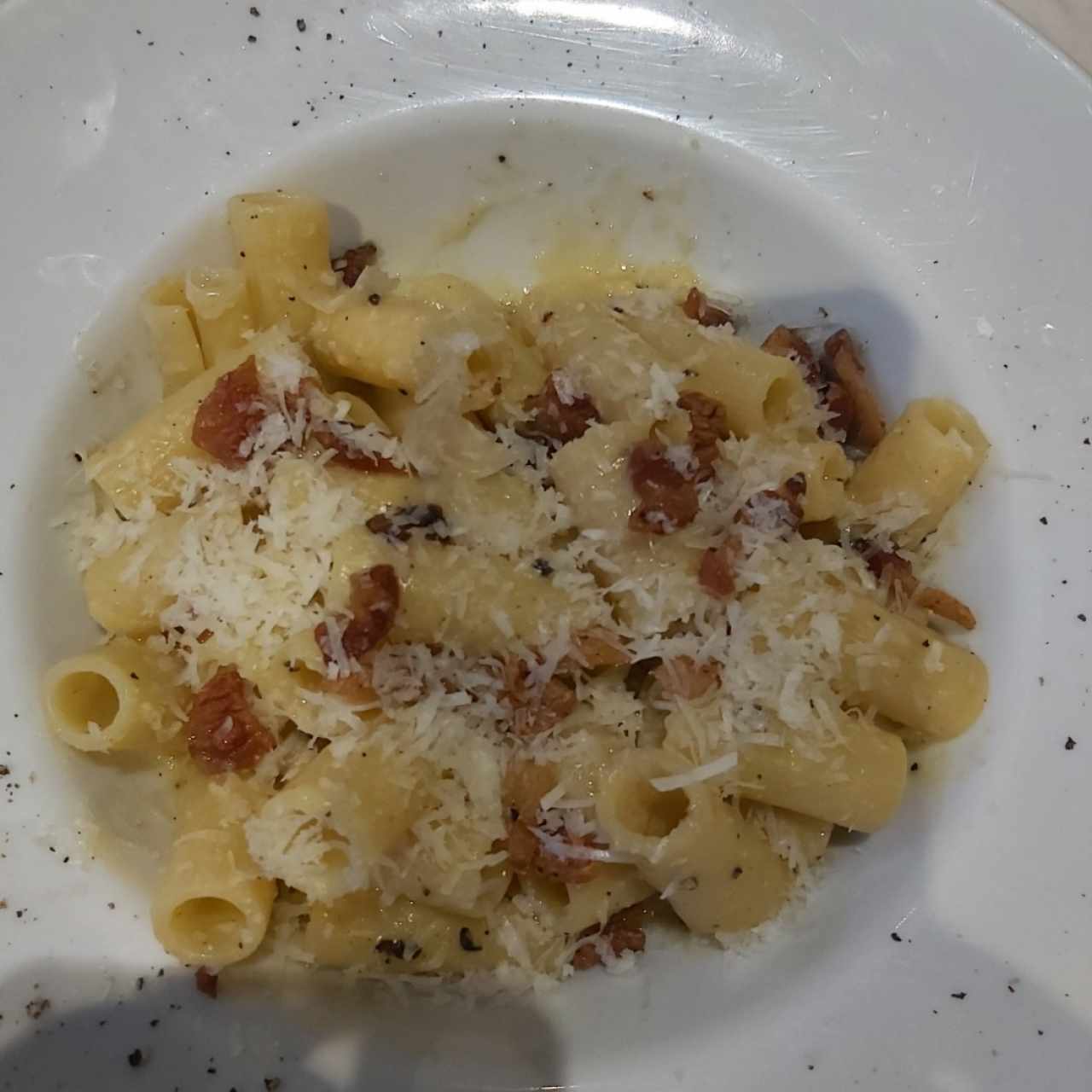 Paste / Pastas - Rigatoni All'Amatriciana