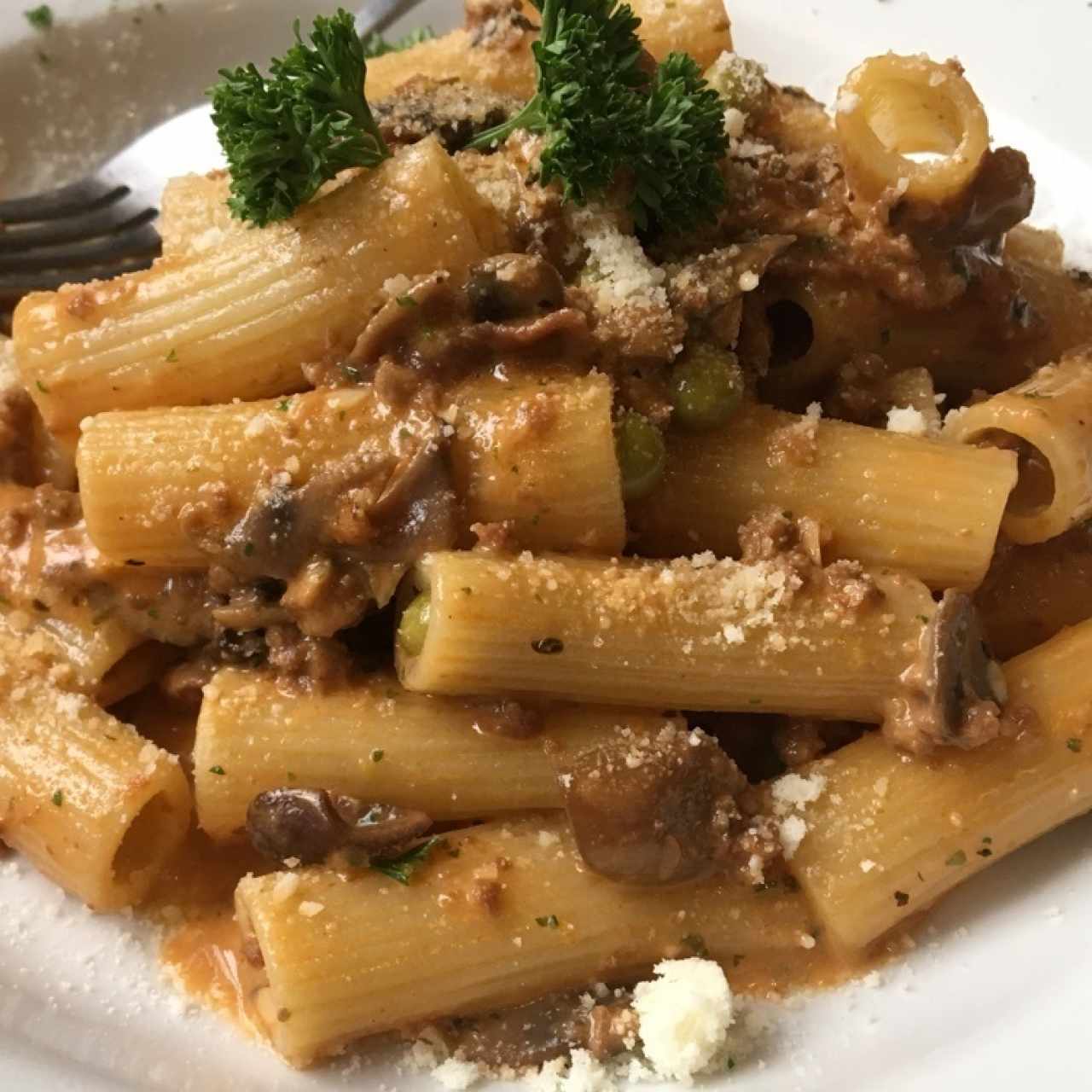 Pastas - Rigatoni alla pastora