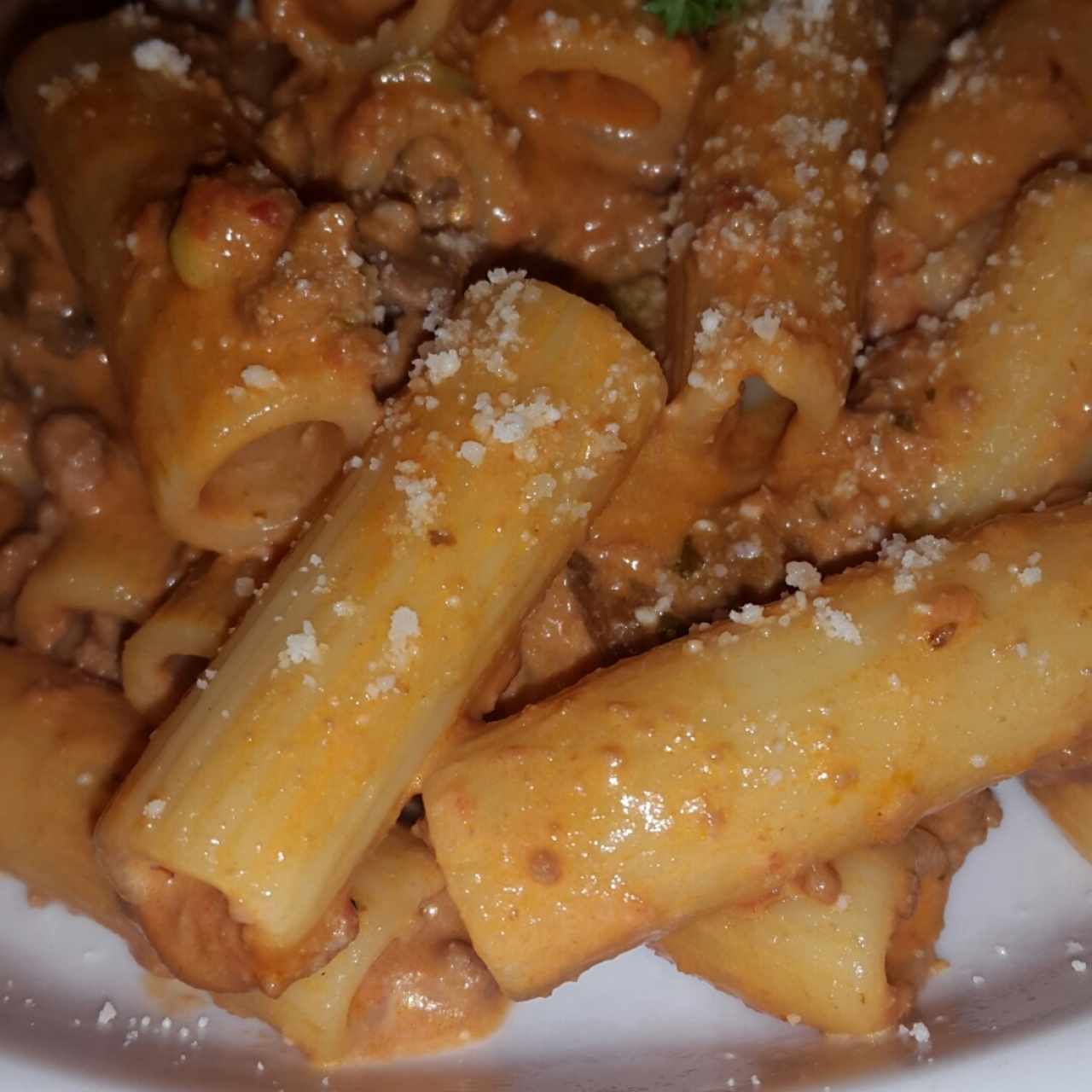 Pastas - Rigatoni alla pastora