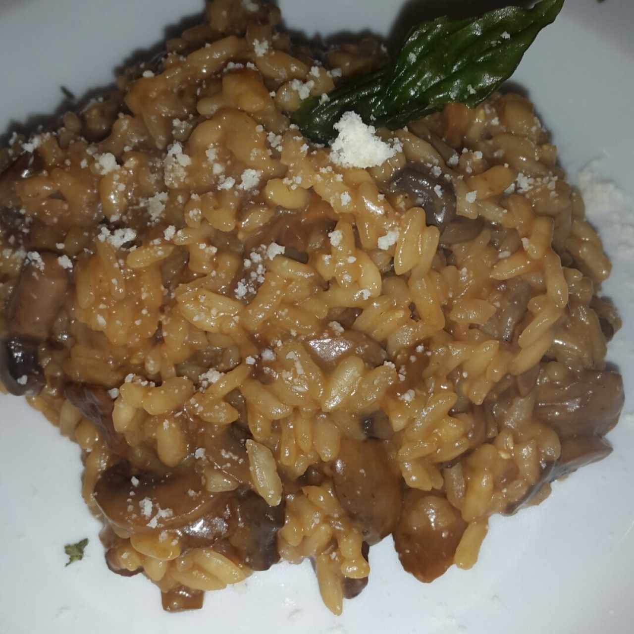 Risotto ai due Funghi