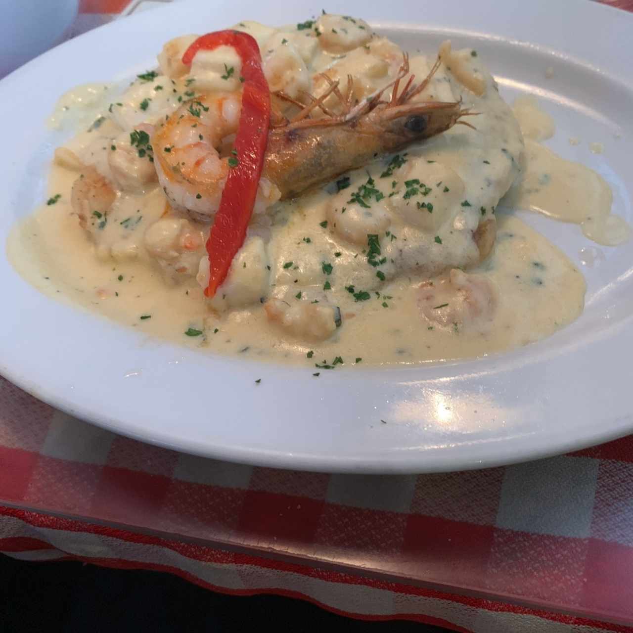 Corvina delicias del mar