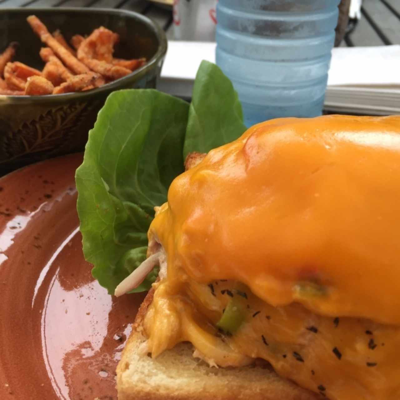 tuna Melt y Fries de Batata