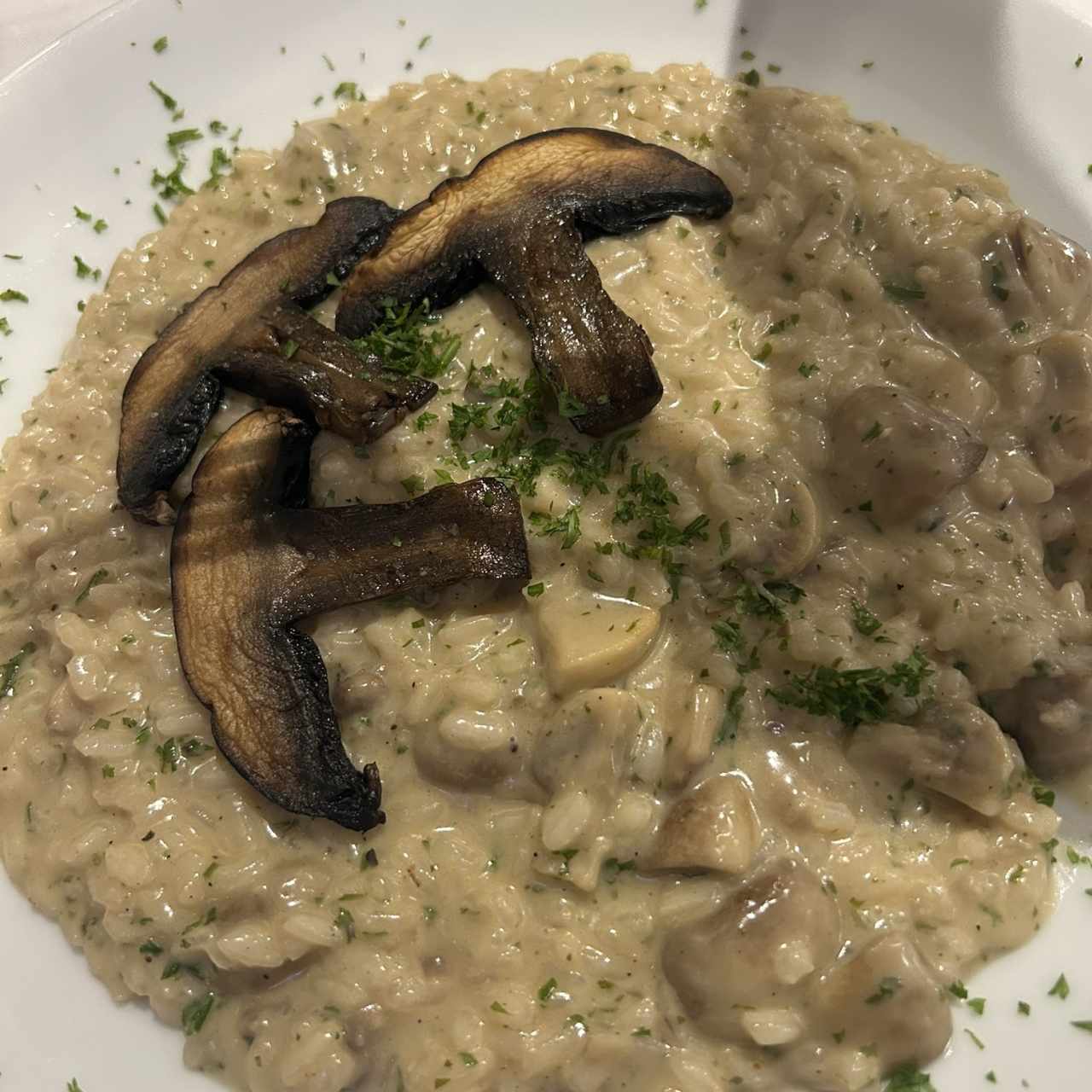 Risotto - Funghi