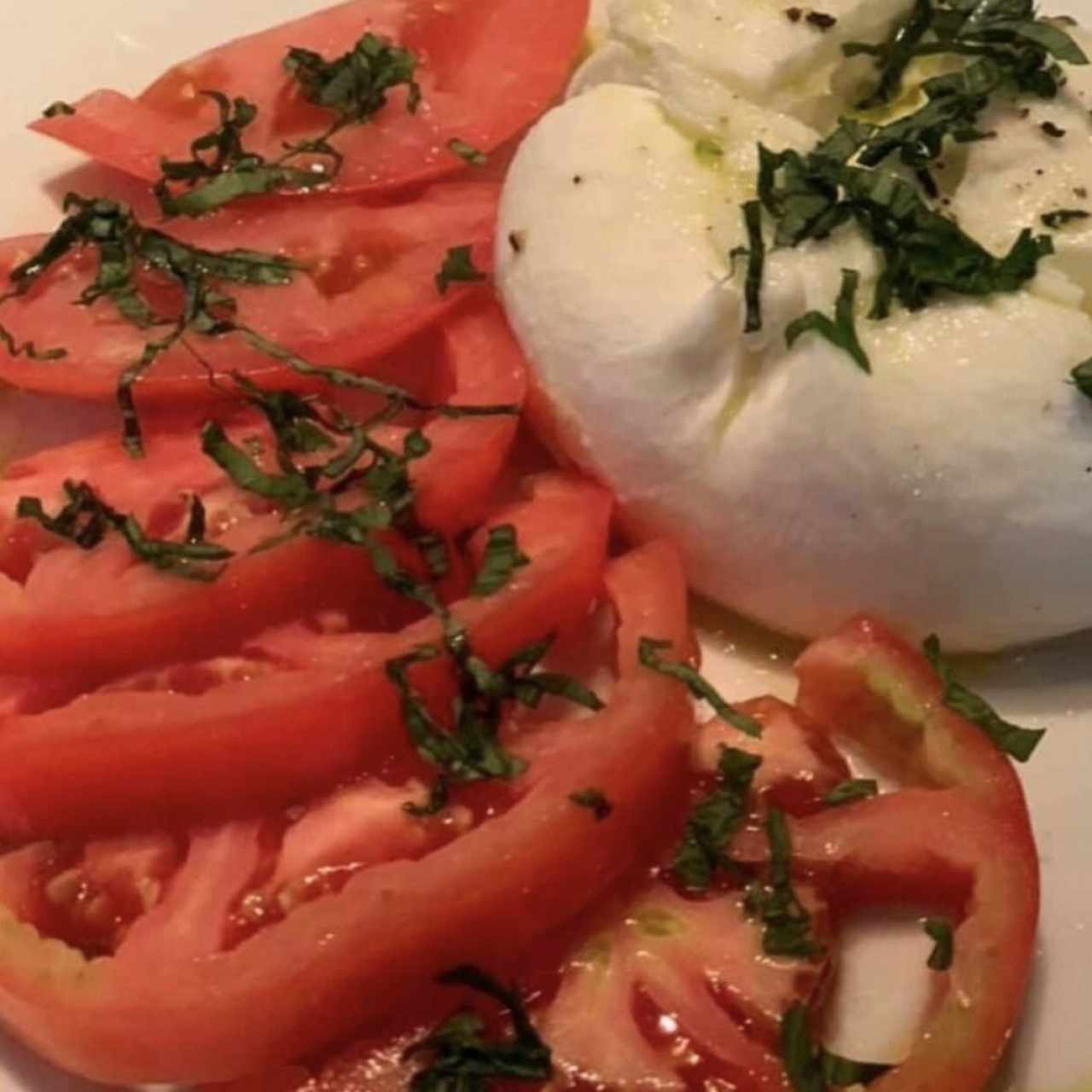 Antipasti Freddi - Burrata Italiana