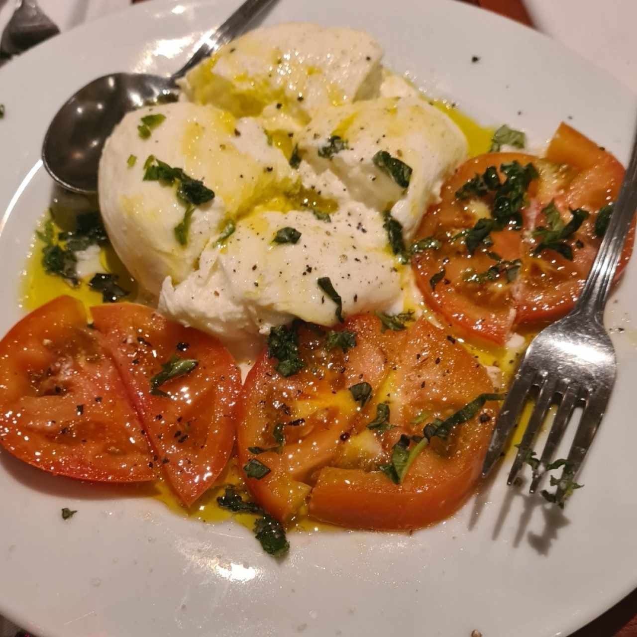 Antipasti Freddi - Burrata Italiana