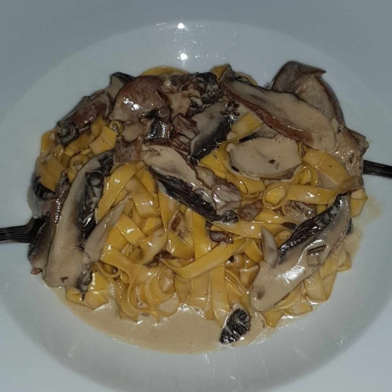 Pasta Fresca con Portobello