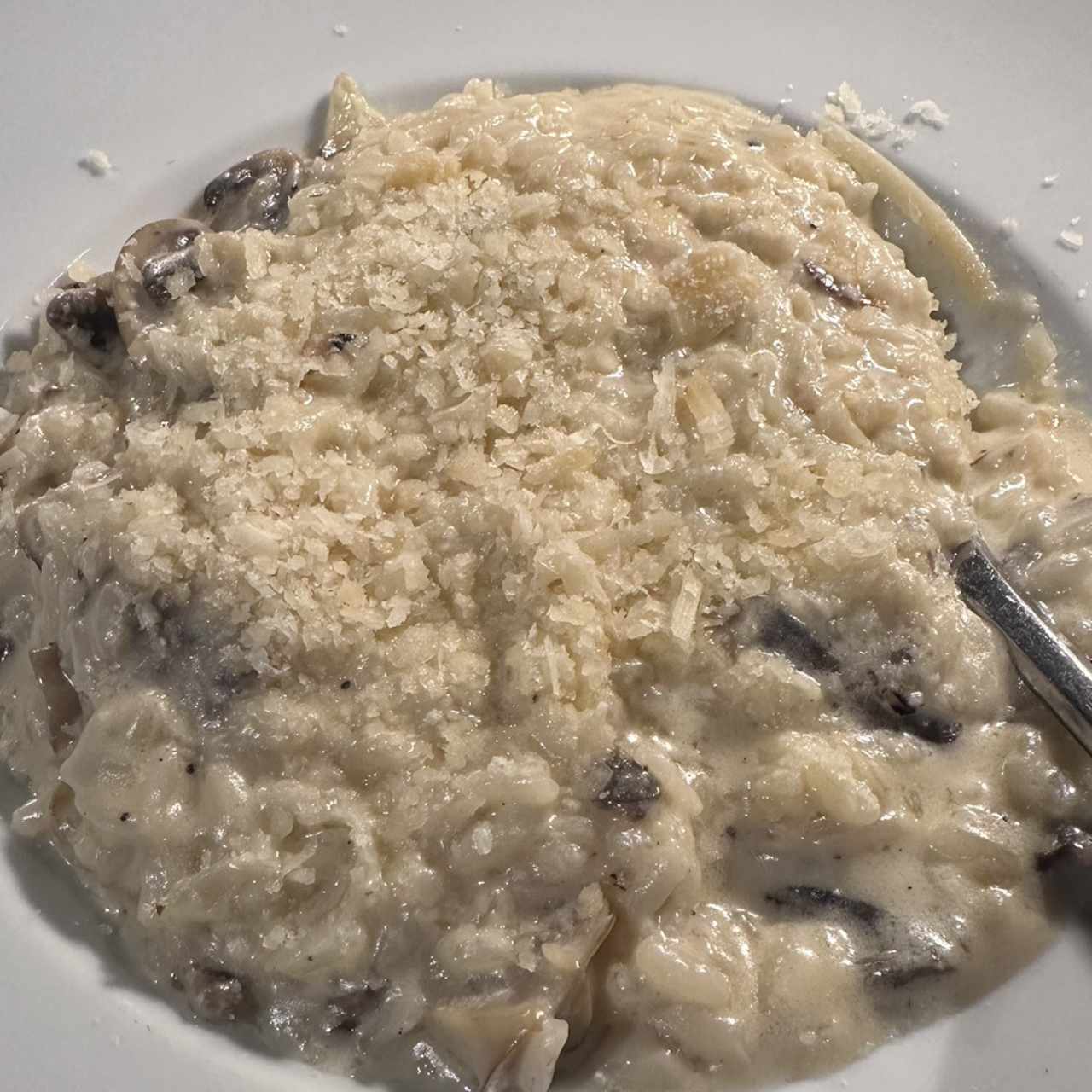 Risotto - RISOTTO DE HONGOS