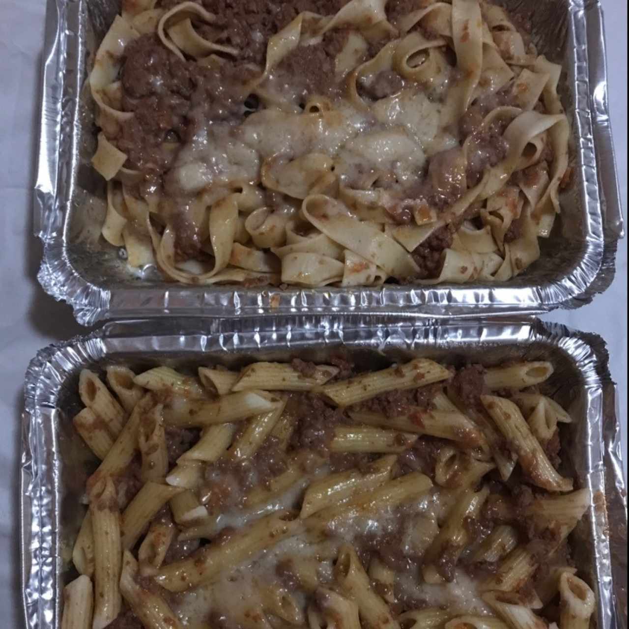 Bolognesa 