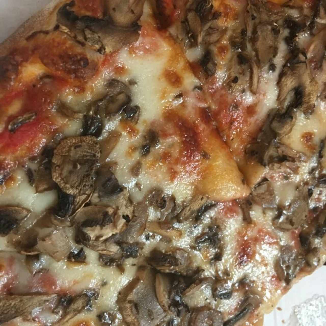 pizza funghi