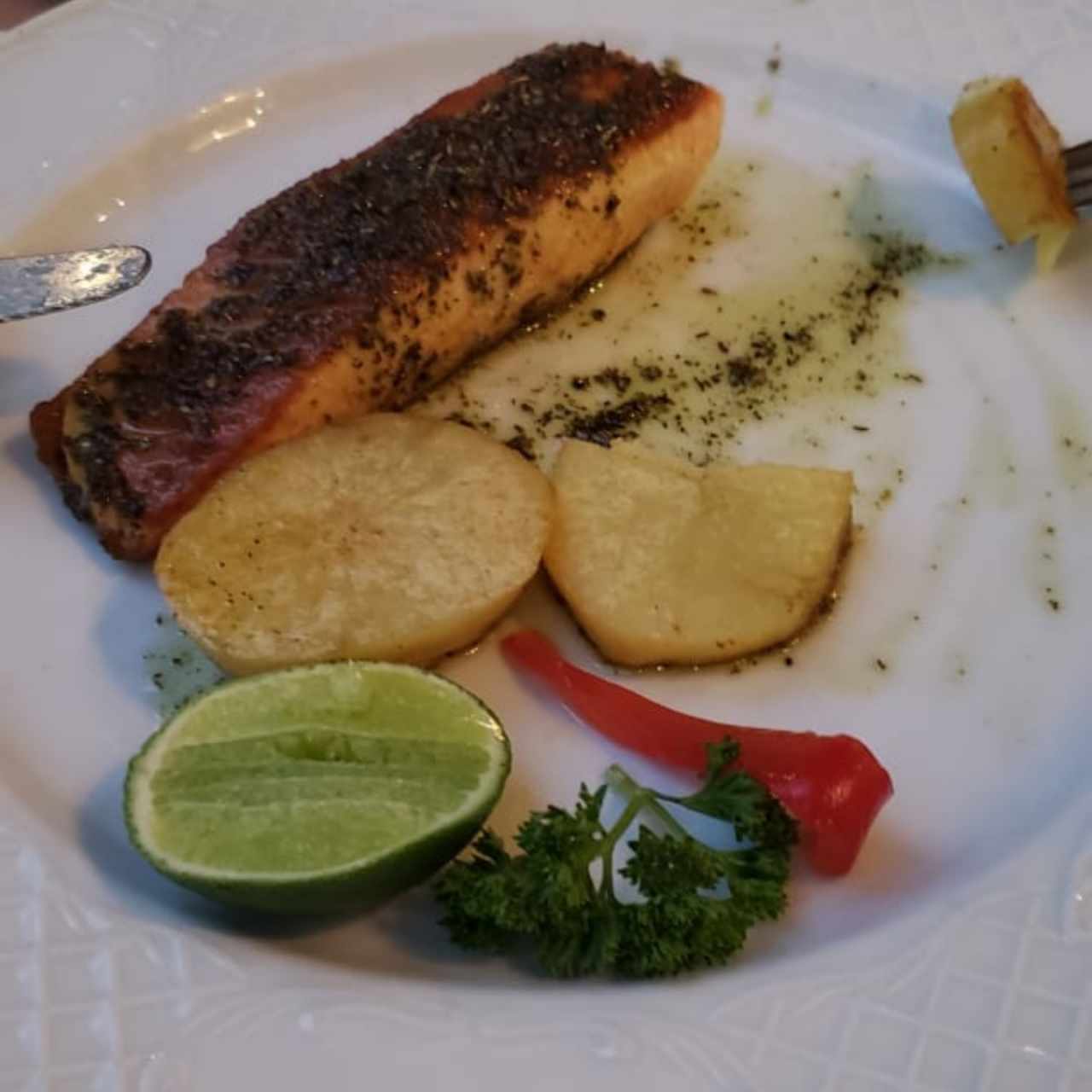 Salmón