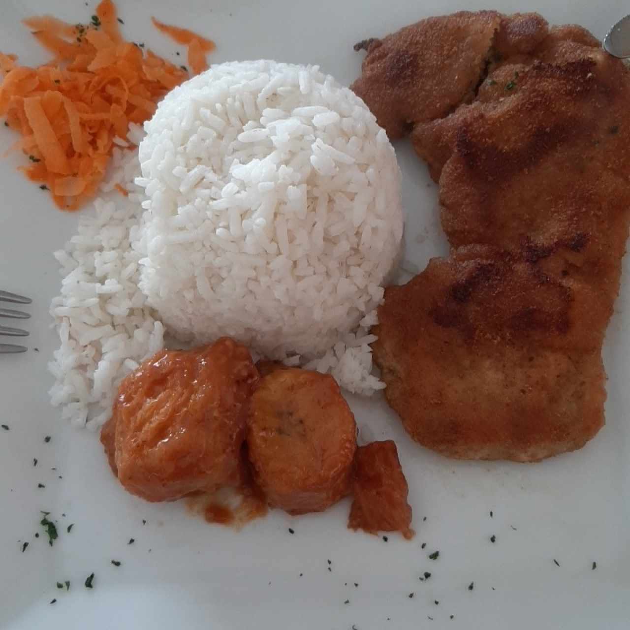 almuerzo del dia