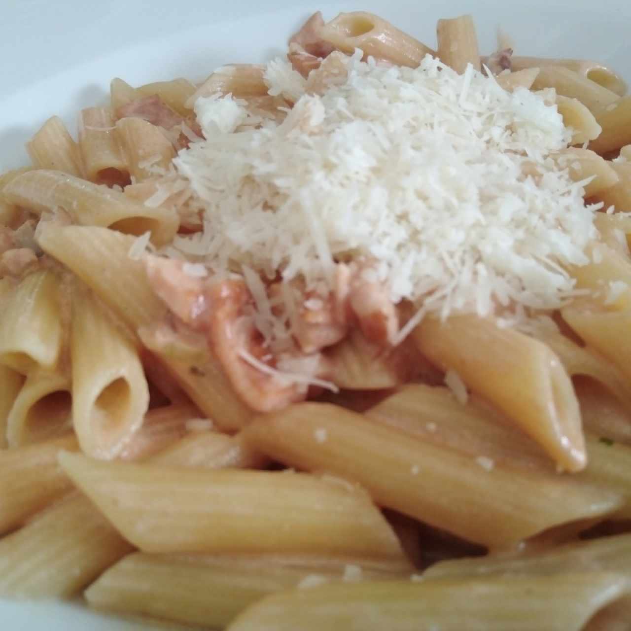 Penne salmón 