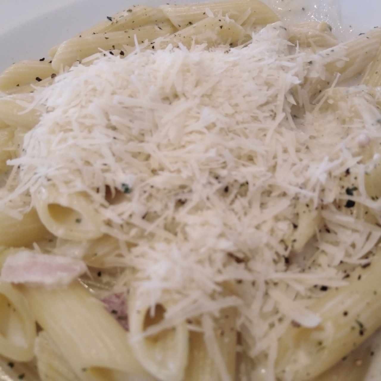 Pasta