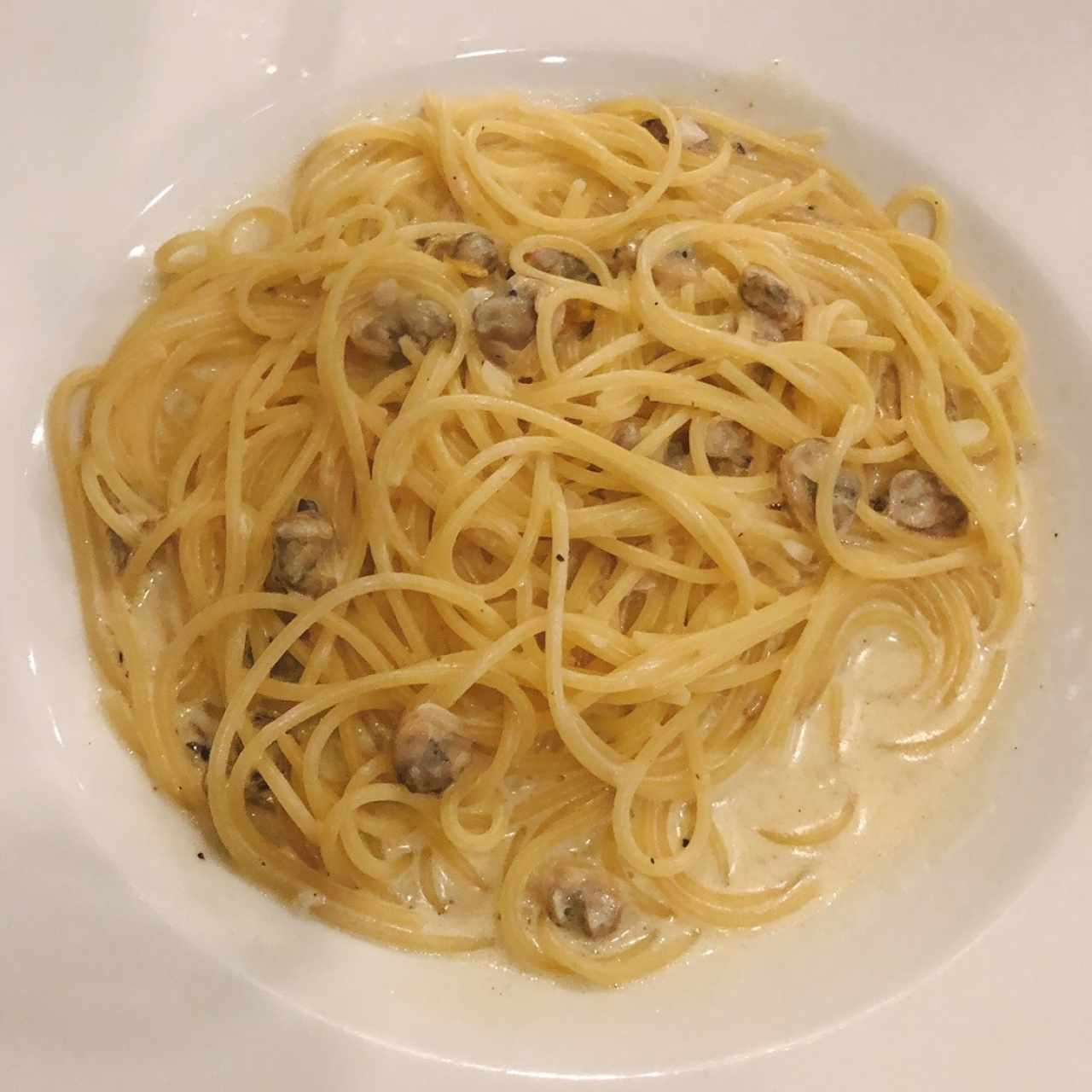 Spaghuettini Vongole (almeja) Salsa Blanca