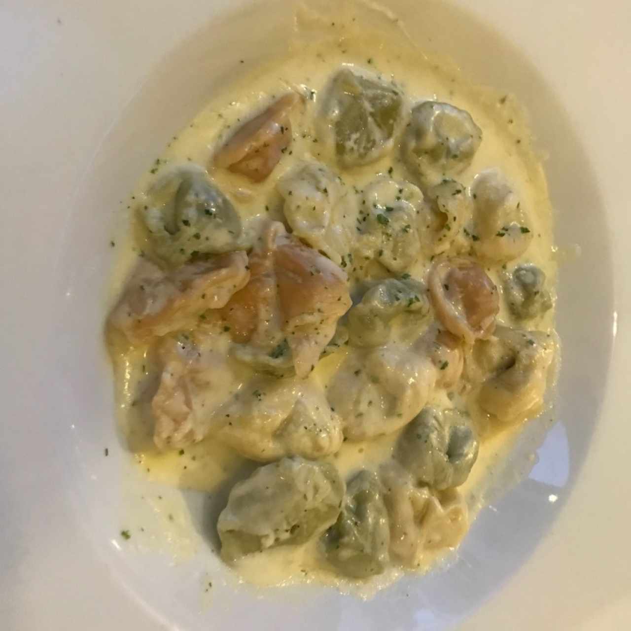 tortellini tricolor