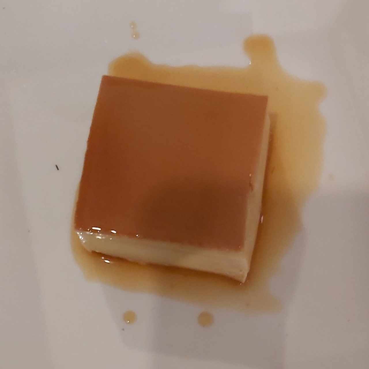 Flan de la casa