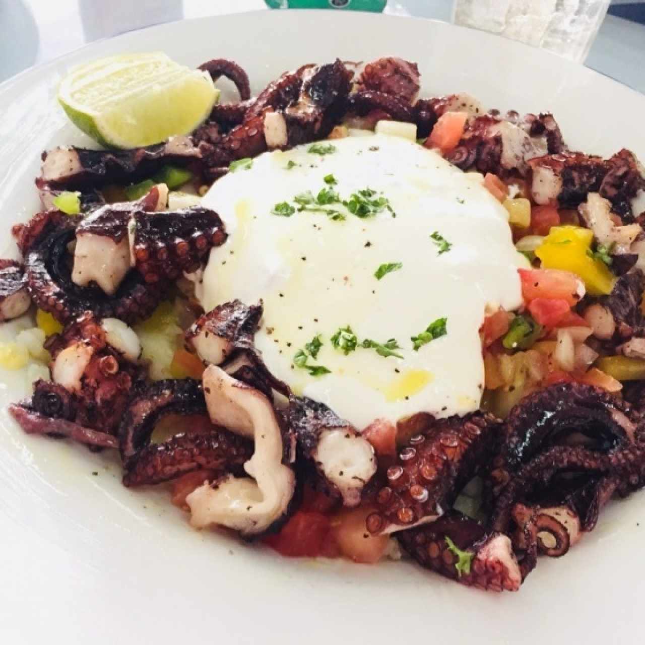 Pulpo al oleo