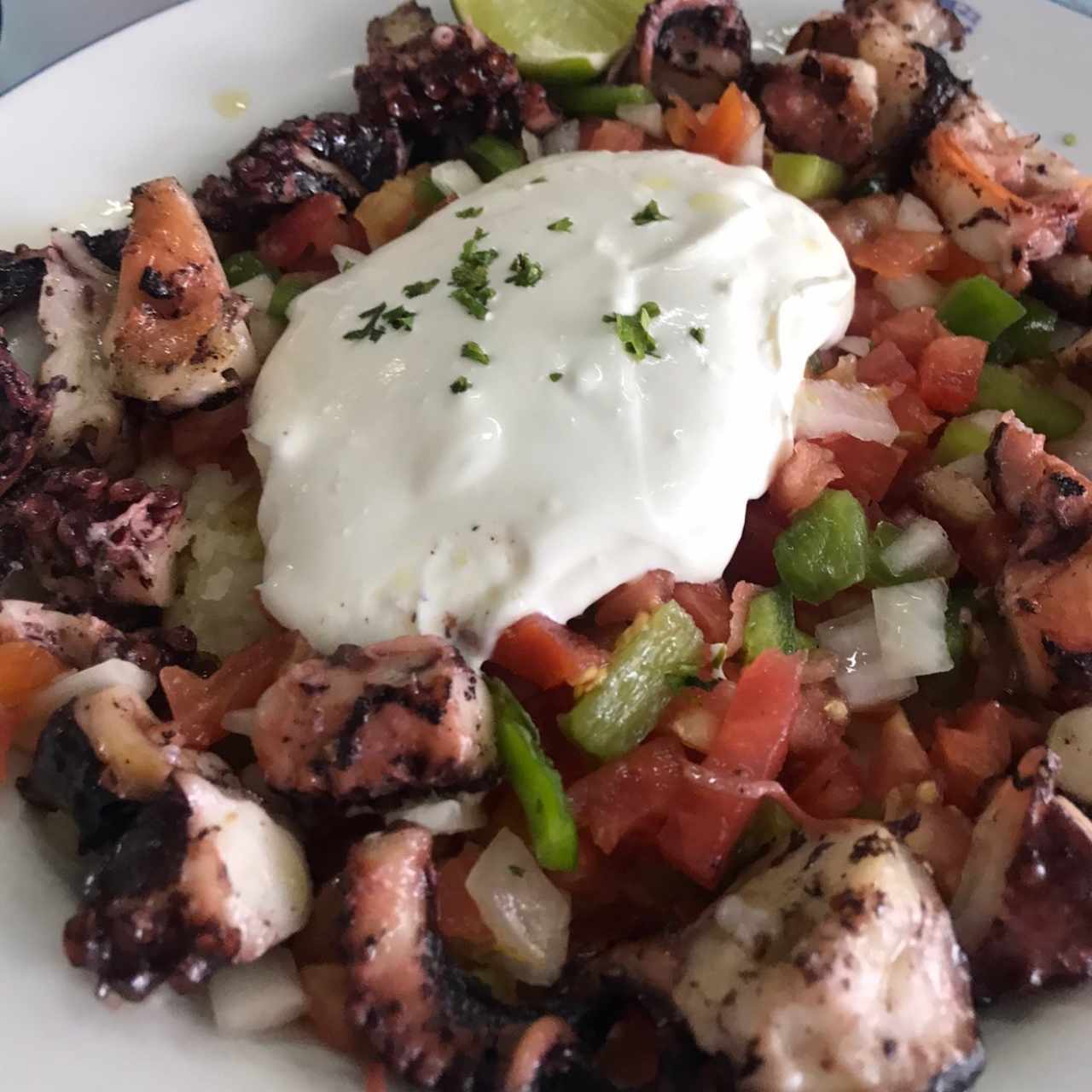 Pulpo al olio con papas majadas, pique de vegetales y satziki