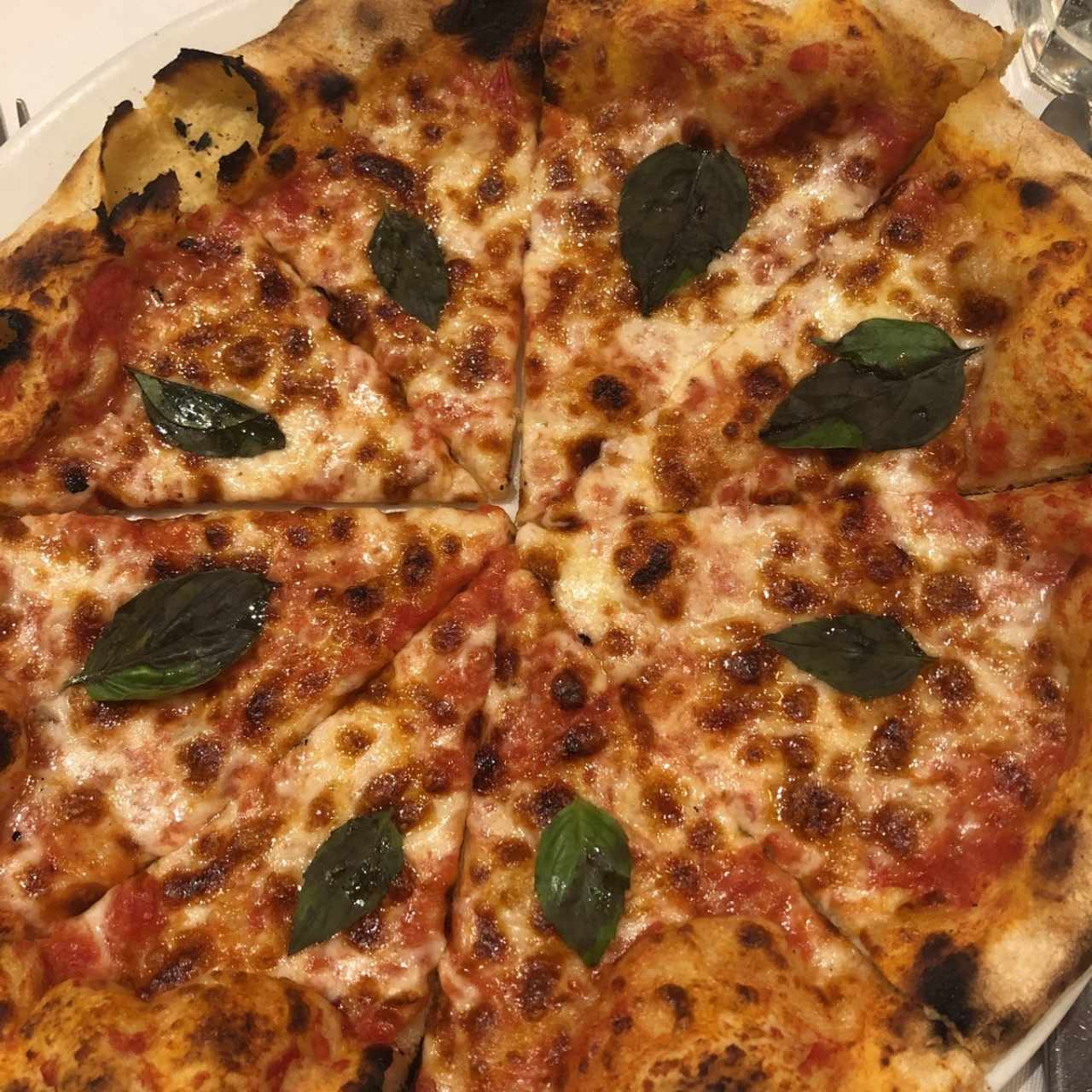 Pizza Margherita