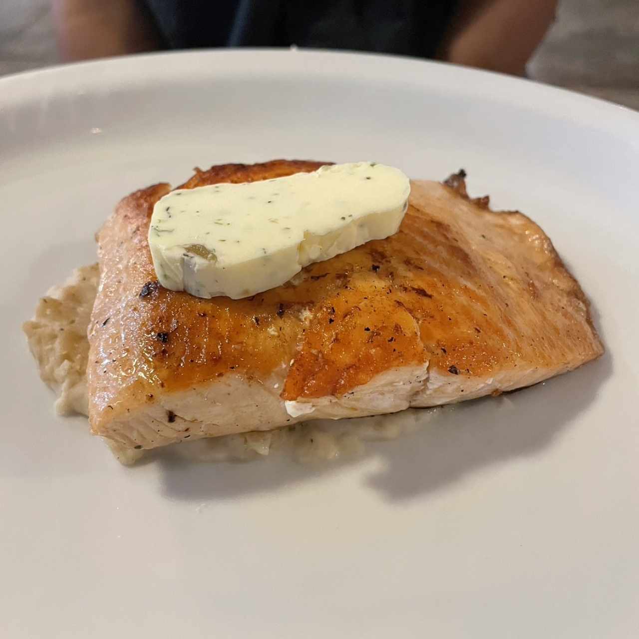 Salmon