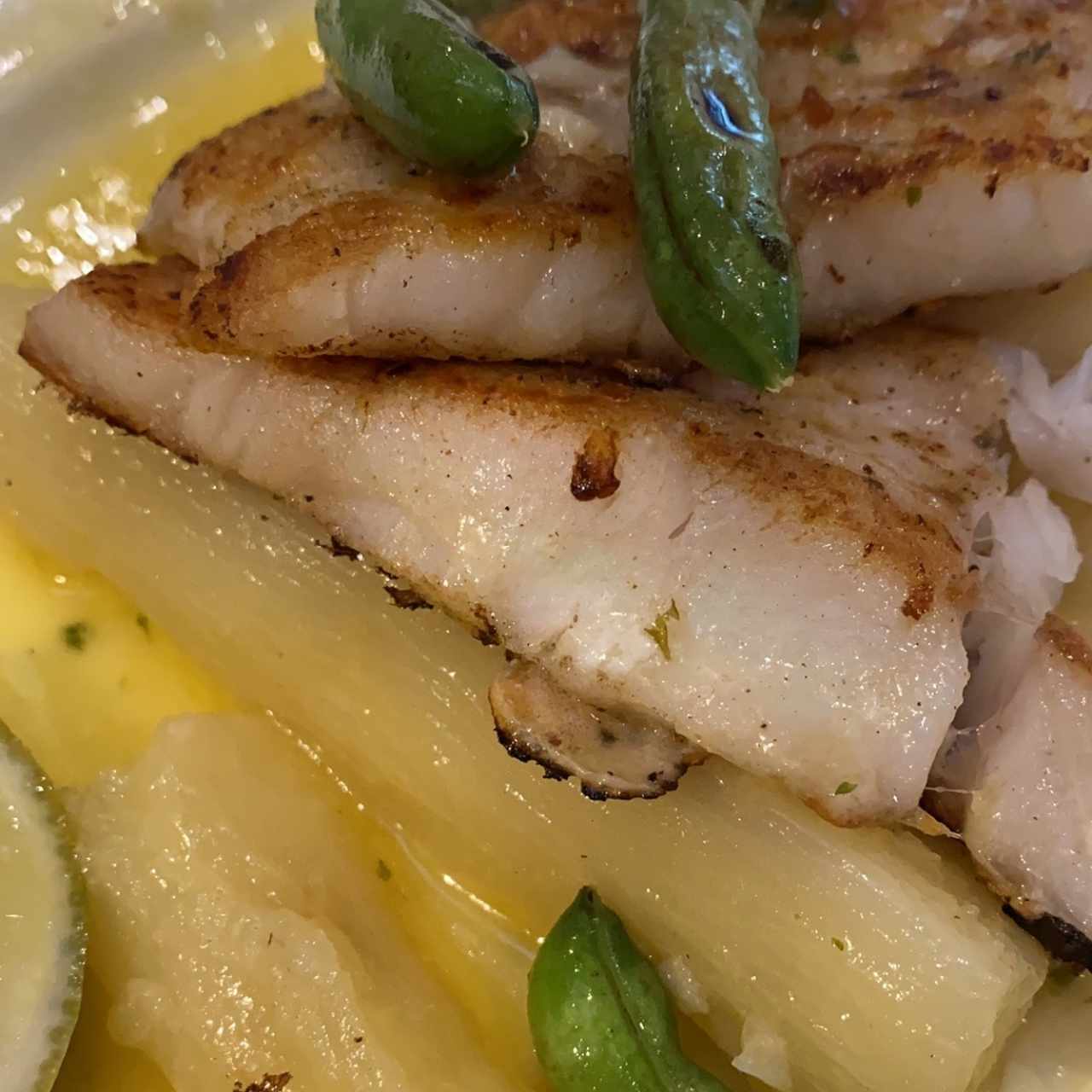 Corvina con yuca al moho 