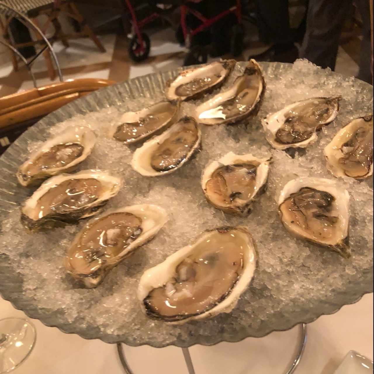 Oysters