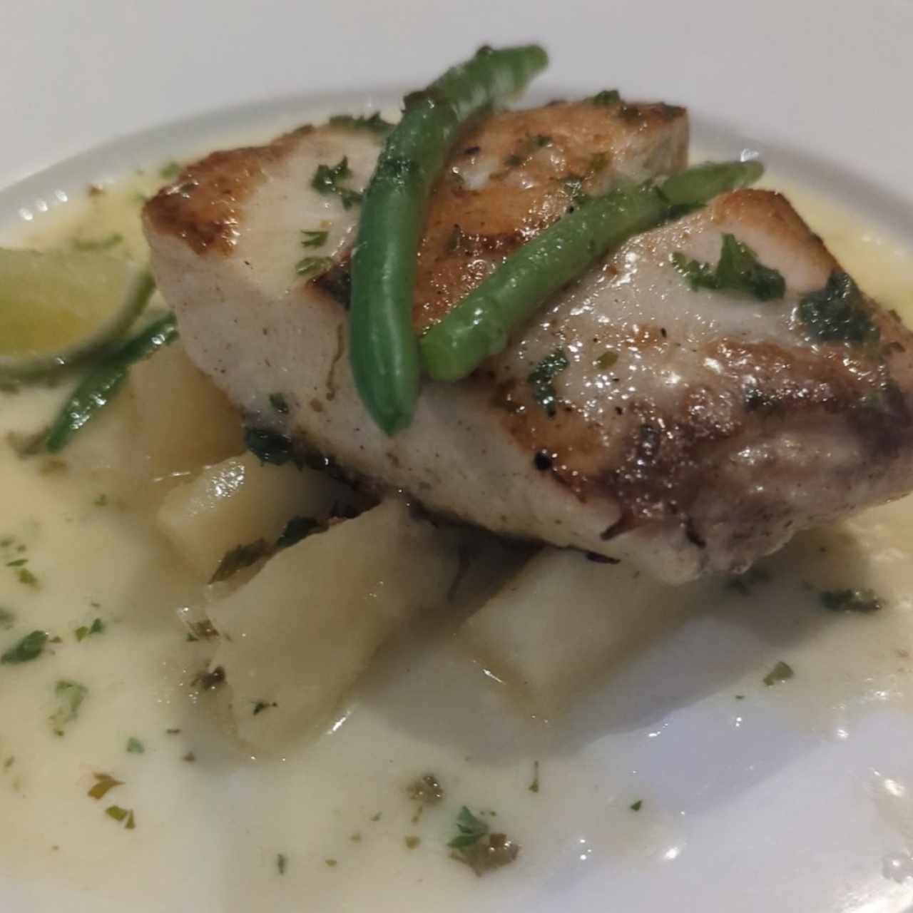 Corvina con Yuca al Mojo 