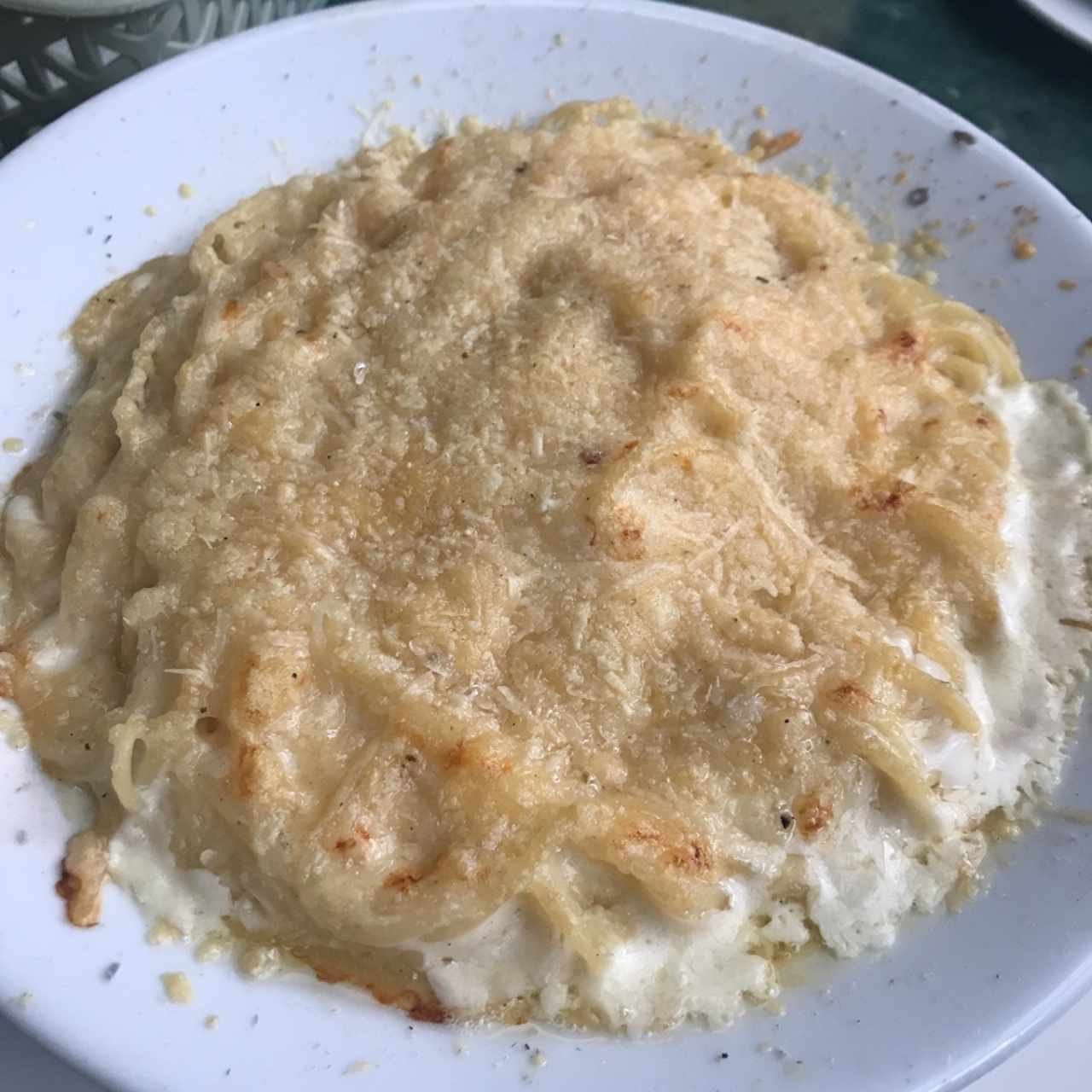 pasta alfredo gratinada