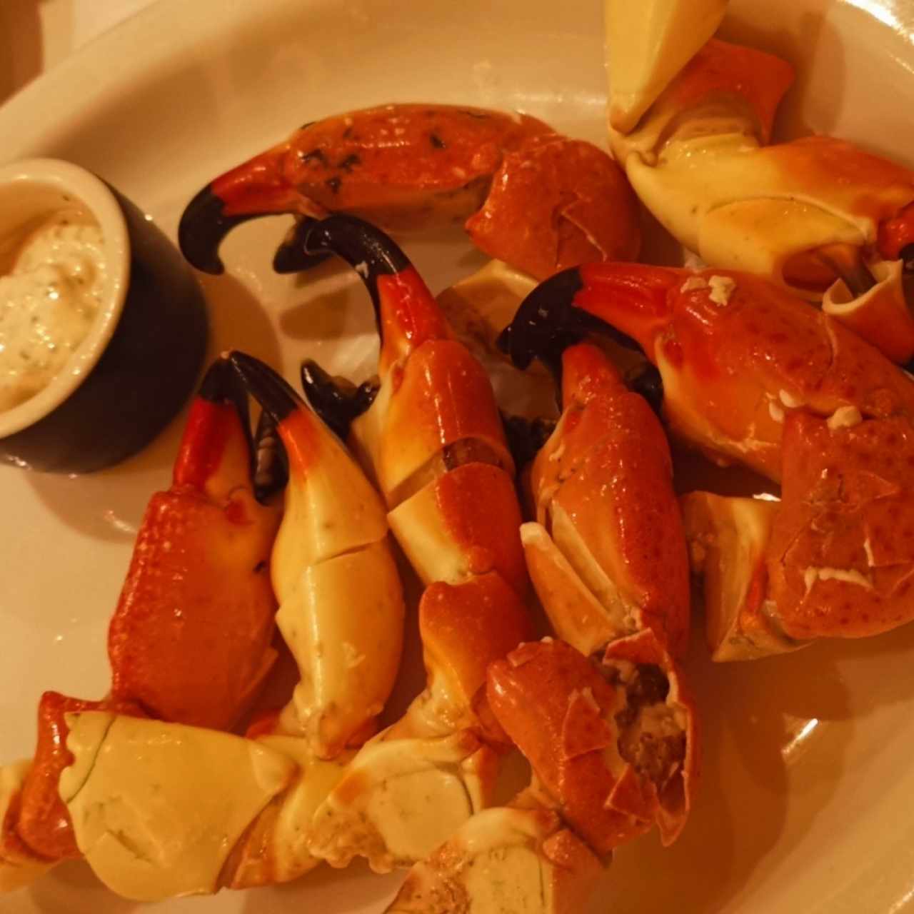 Stone Crab