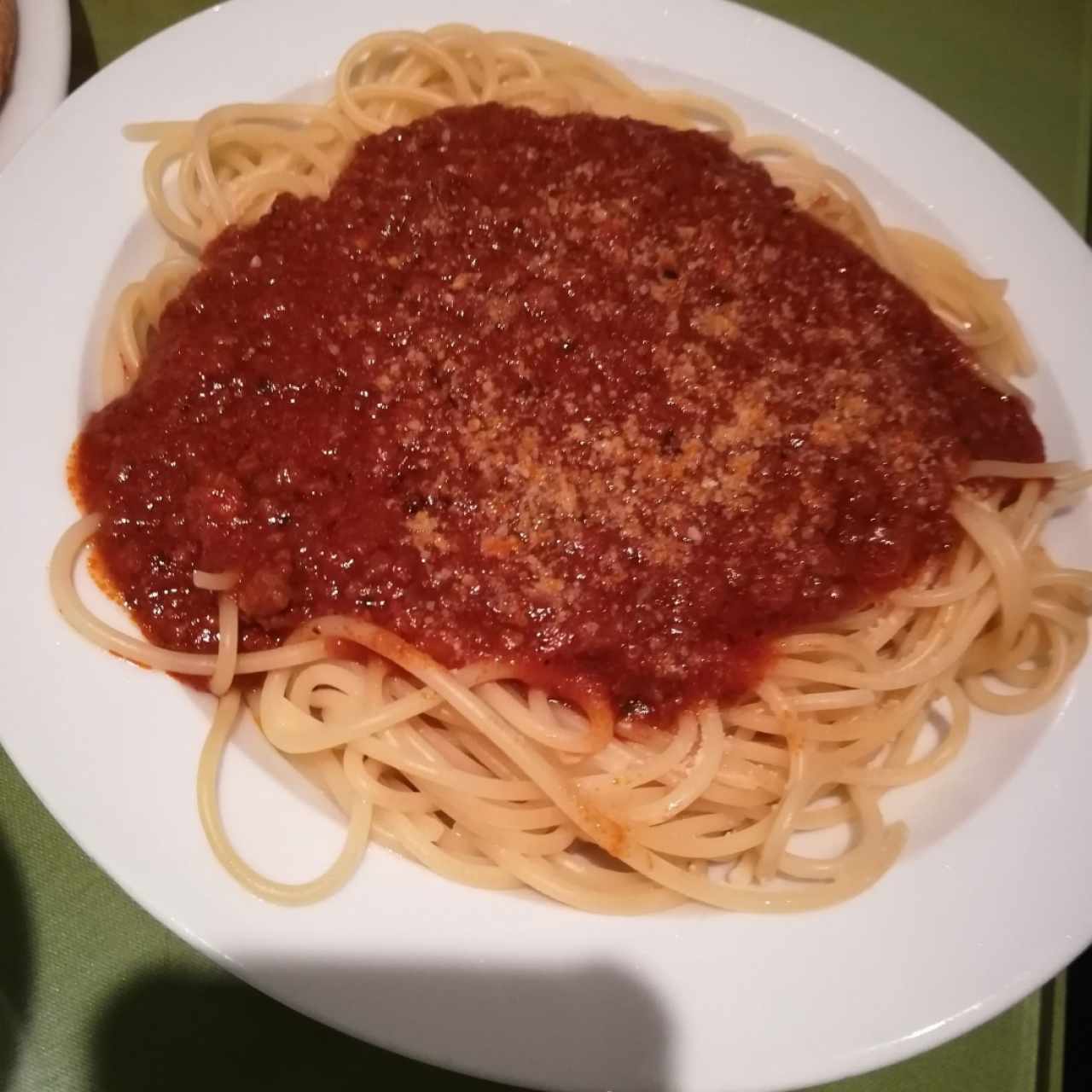 bolognesa