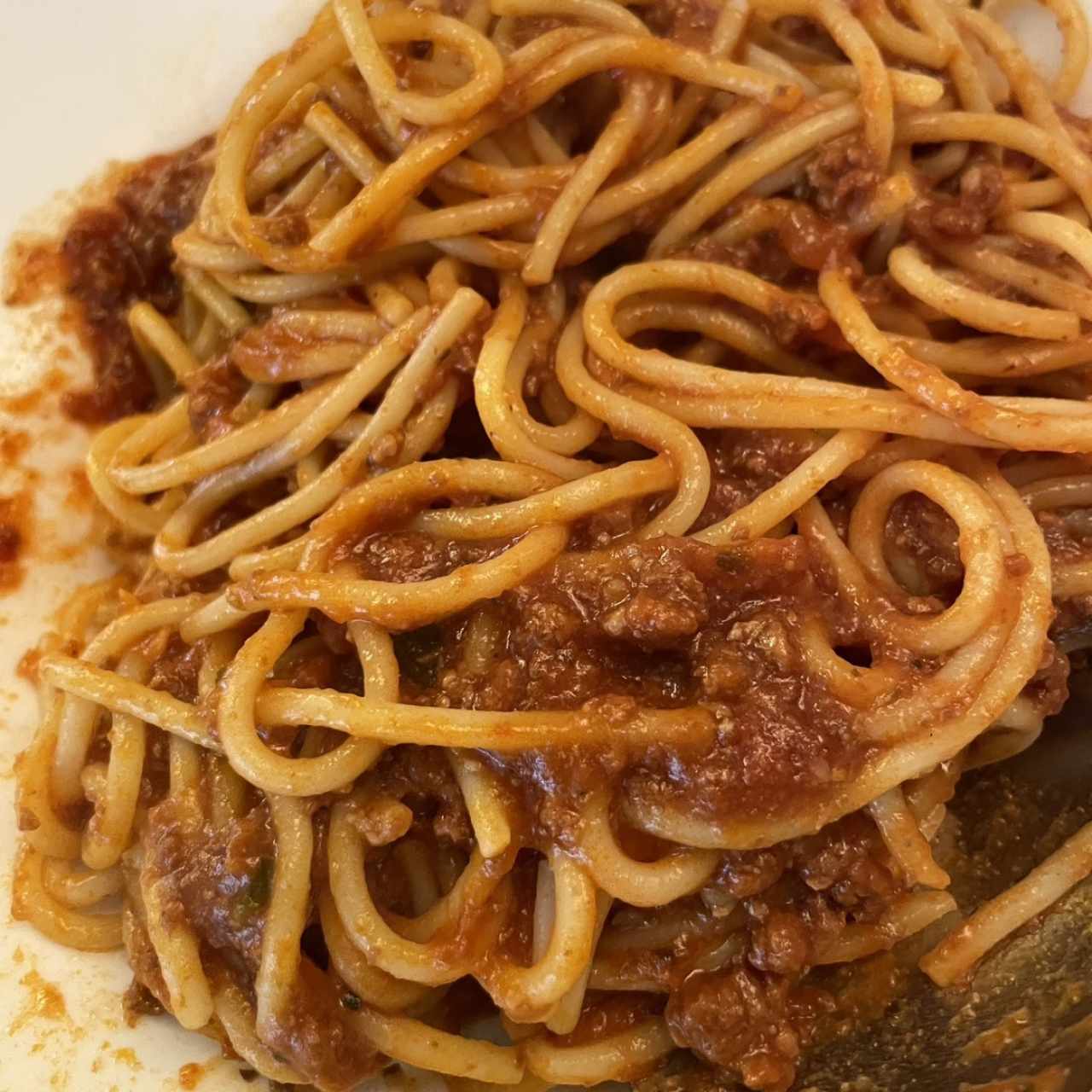Boloñesa