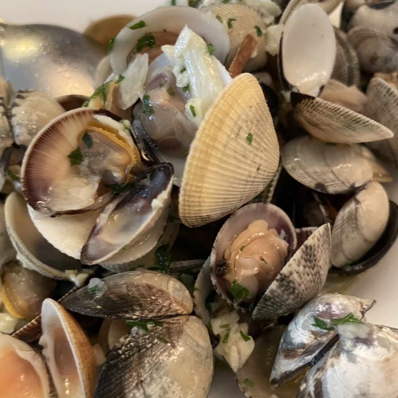 Almejas Genovesas al Ajillo