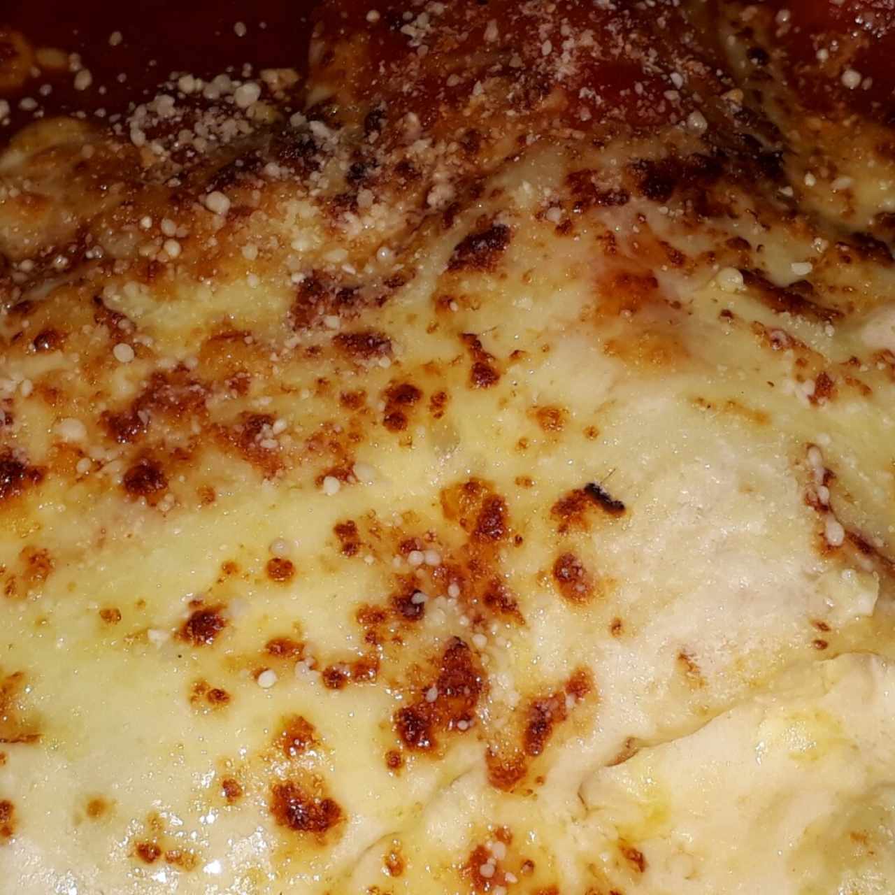 lasagna mixta