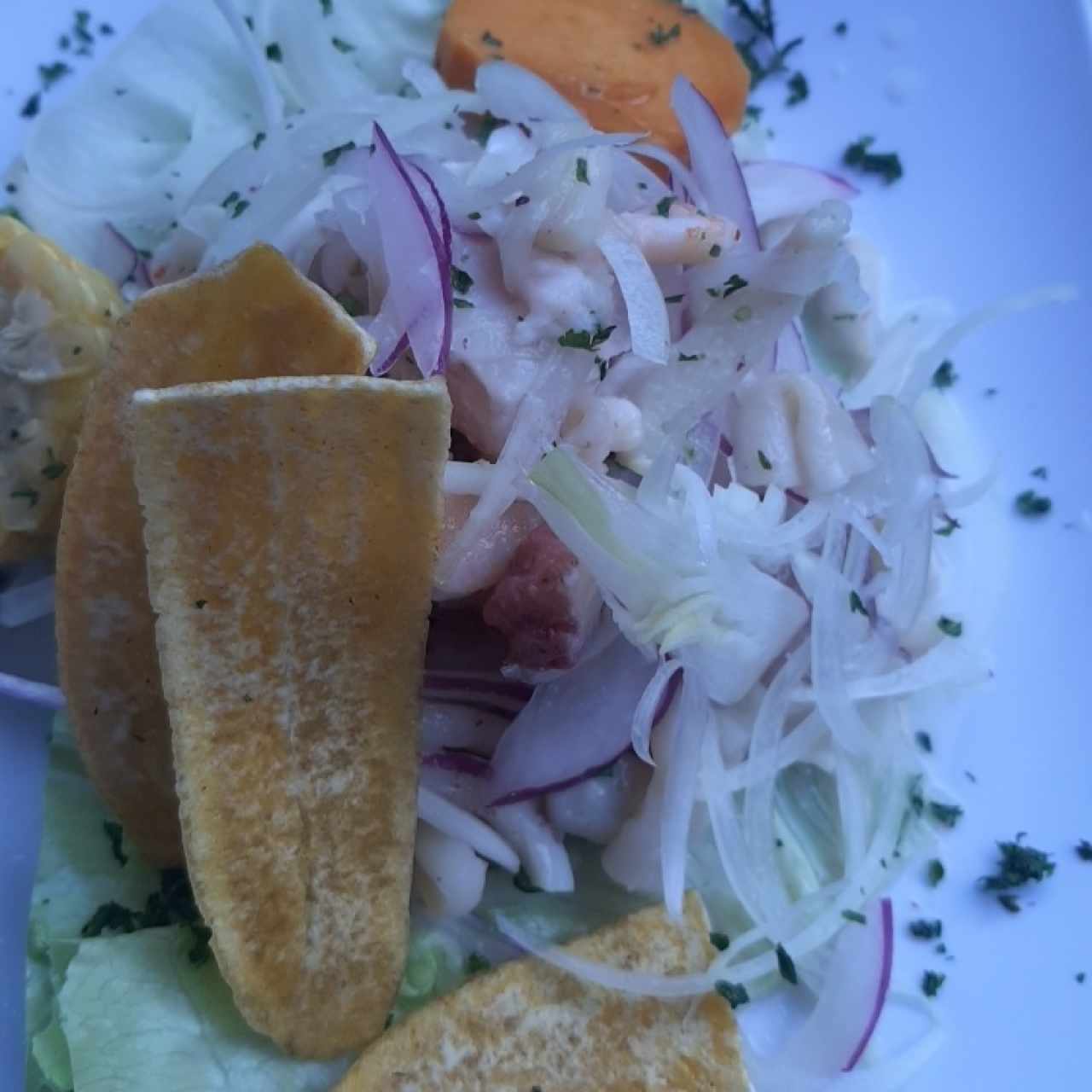 ceviche mixto leche de tigre