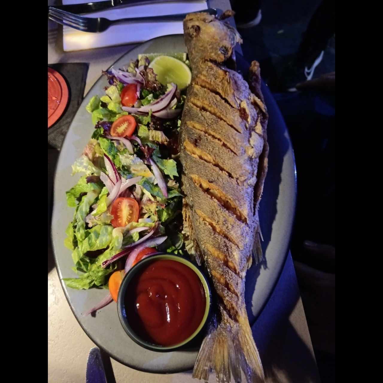 Del Mar - Pesca del Día
