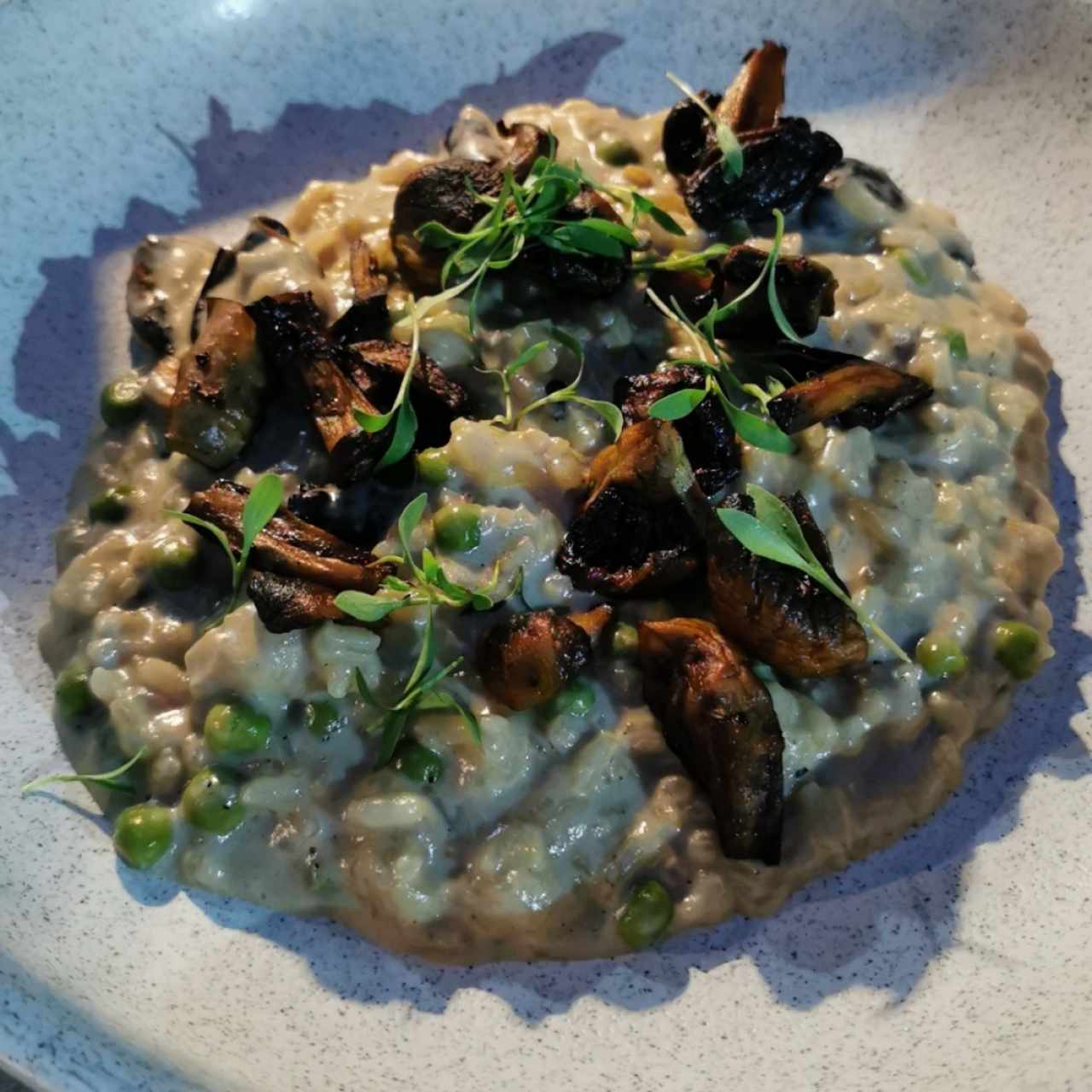 Risotto de Hongos