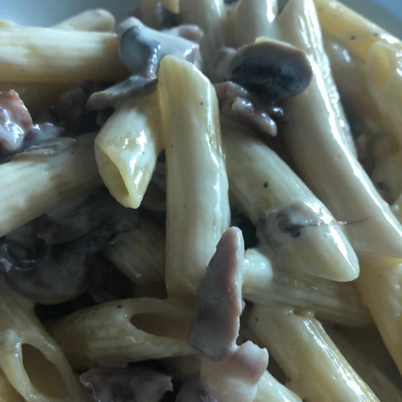 Penne con Jamon Serrano y Hongos