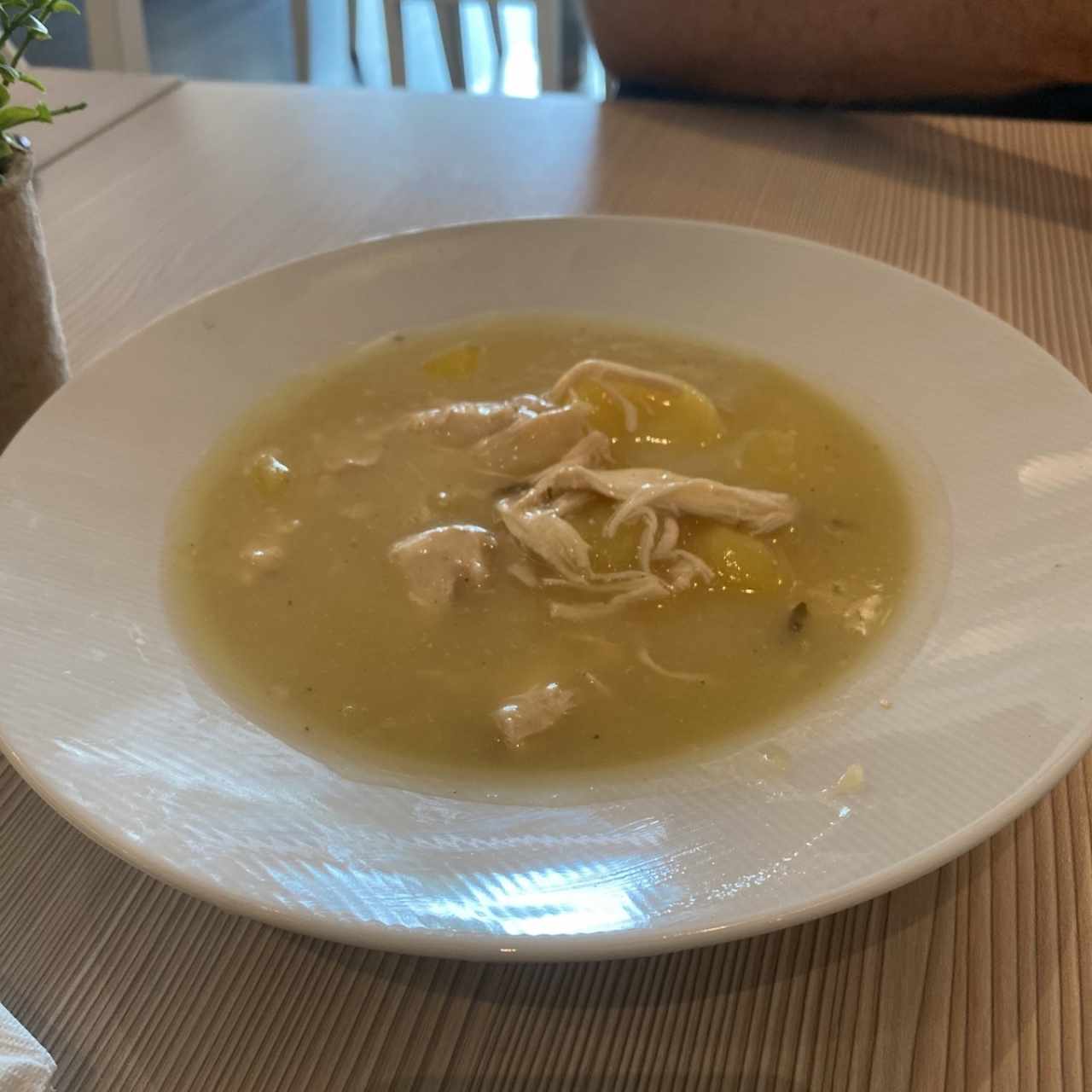 Sopa del día grande