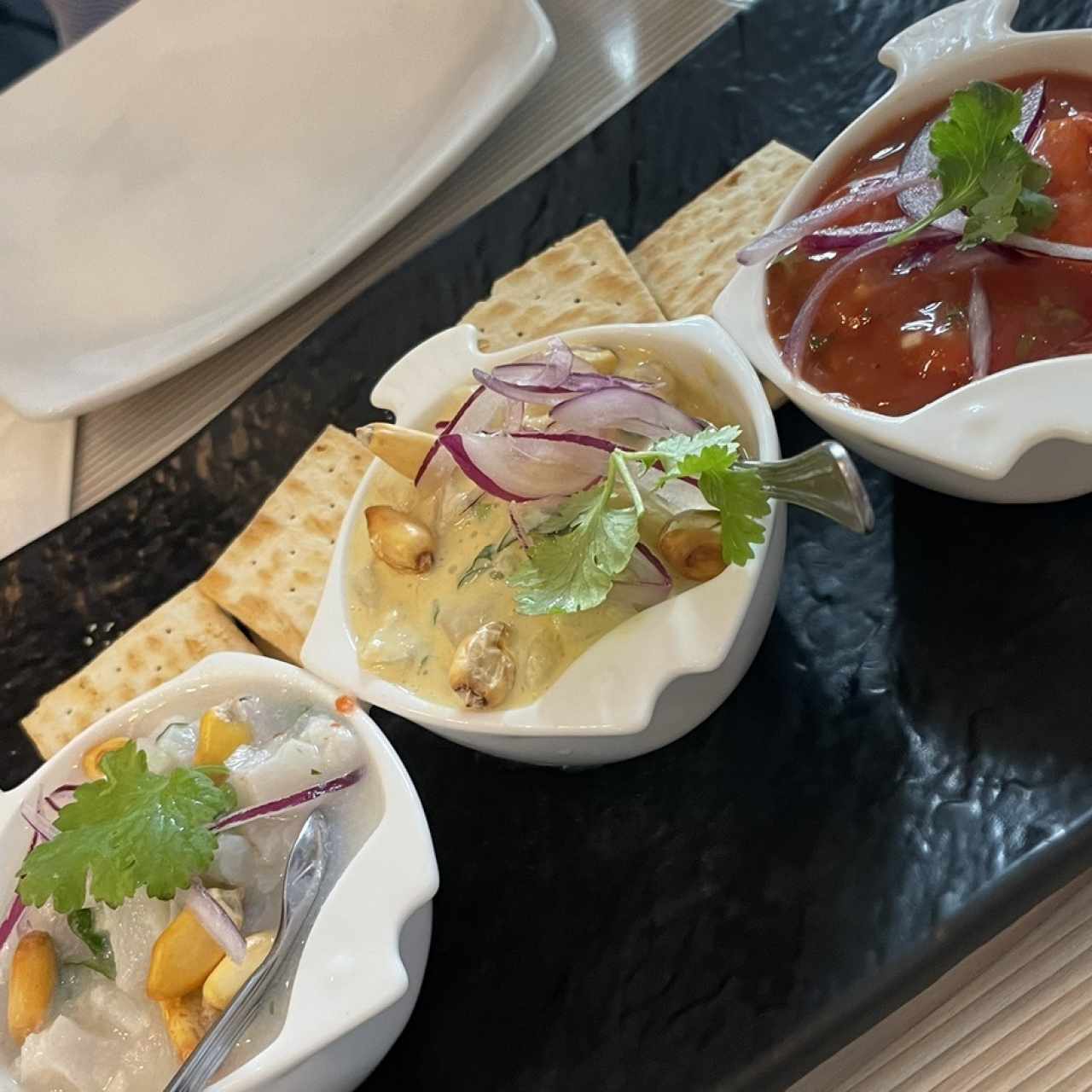 Trio de Ceviches