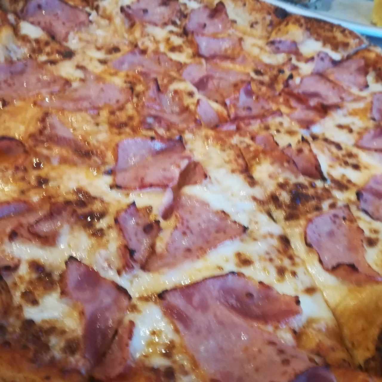 Pizza de Jamón 