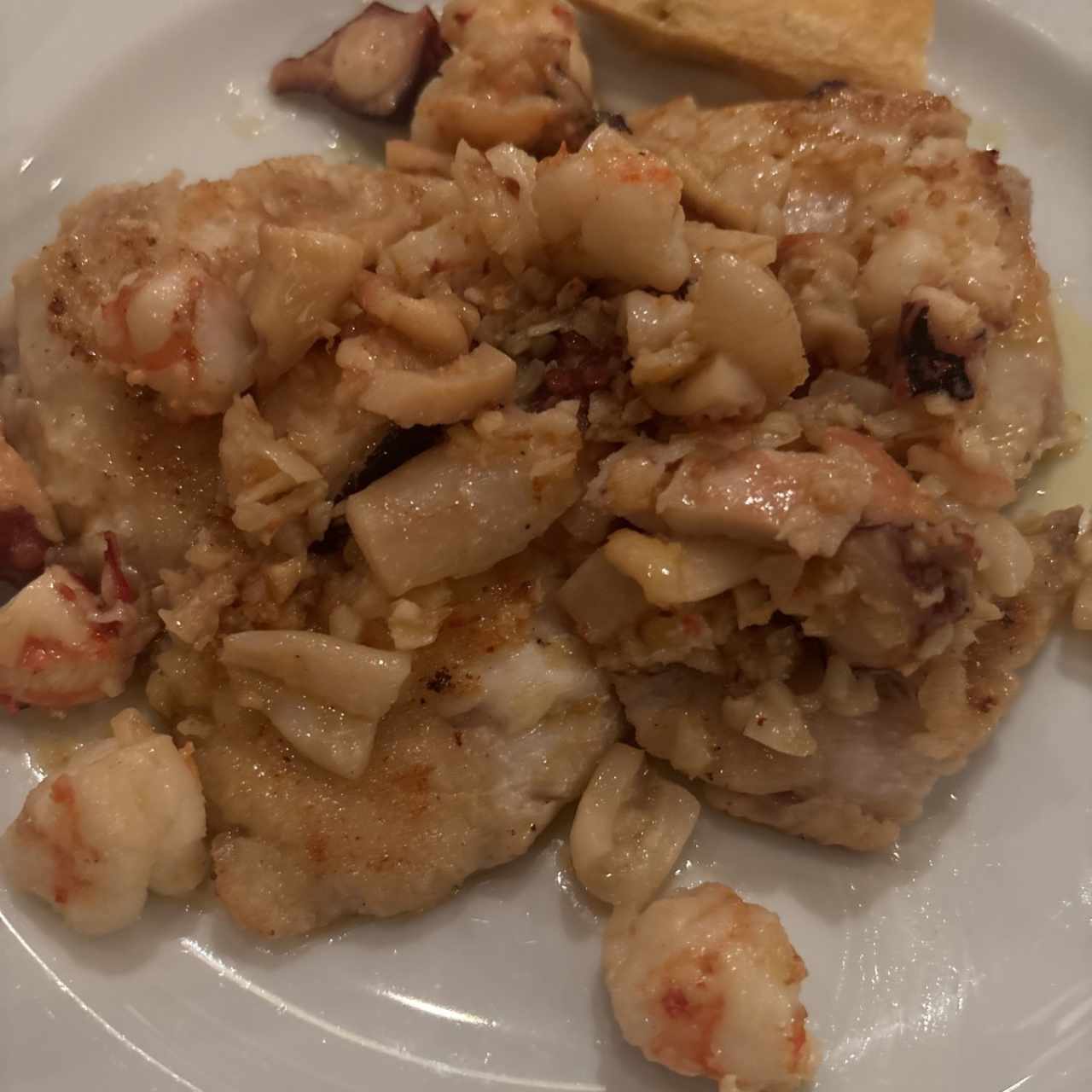 Corvina