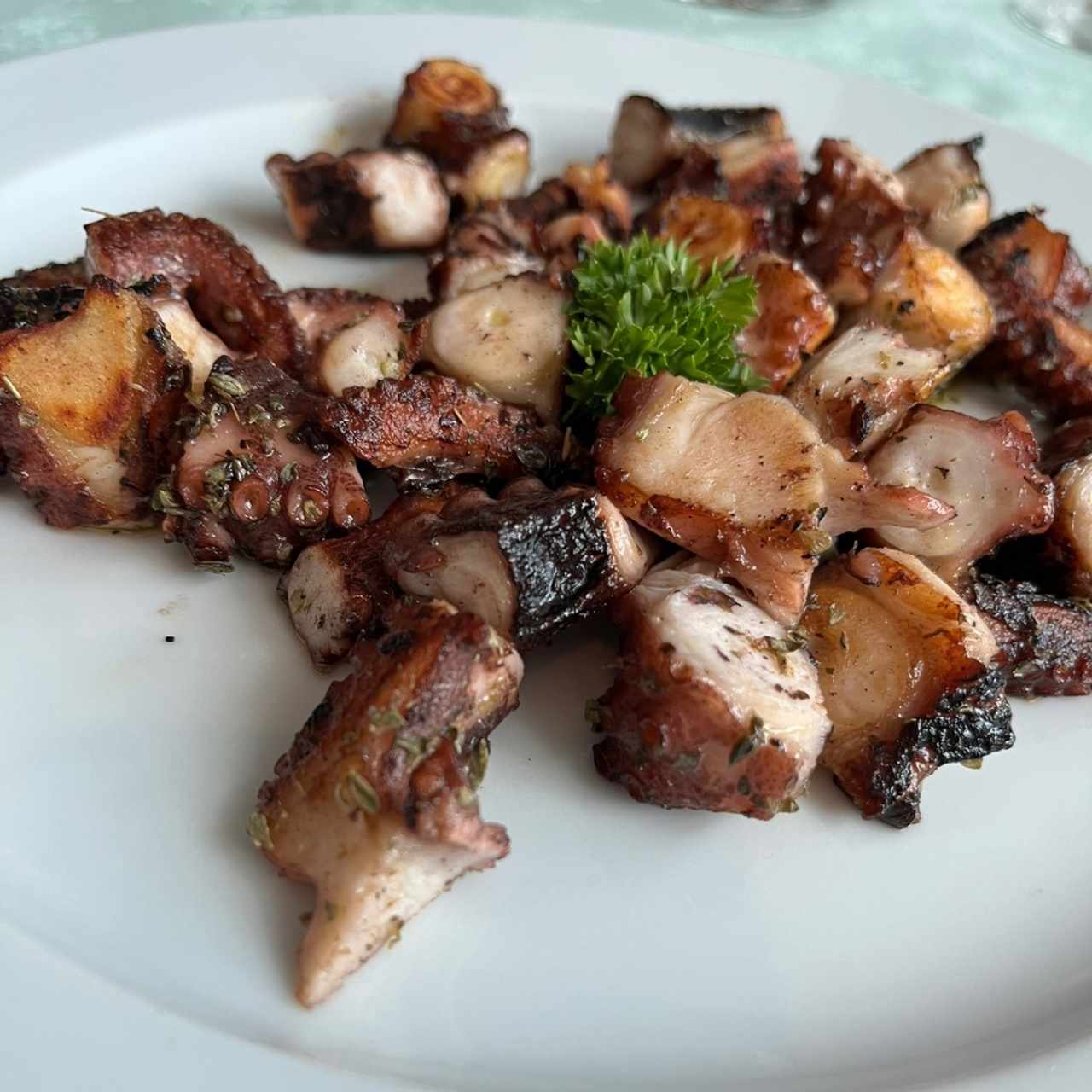 PULPO - PULPO AL CARBON