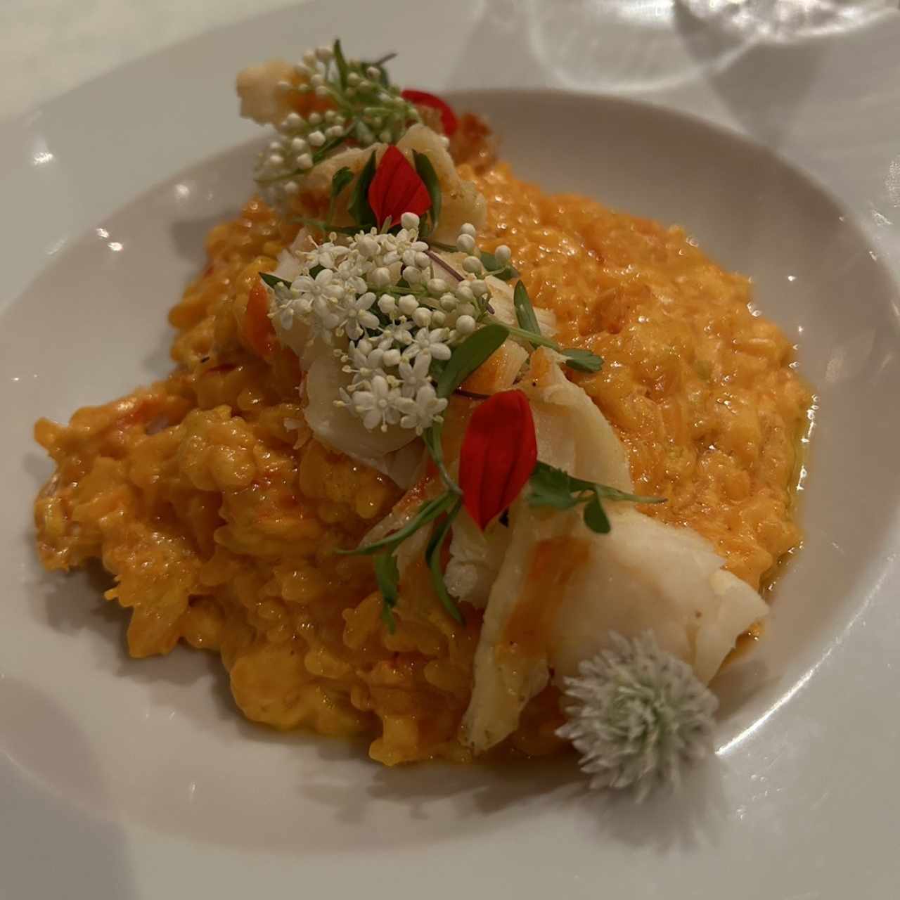 De Temporada - Risotto de Langosta