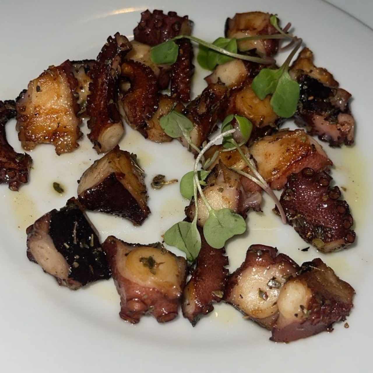 PULPO - Pulpo al Carbón