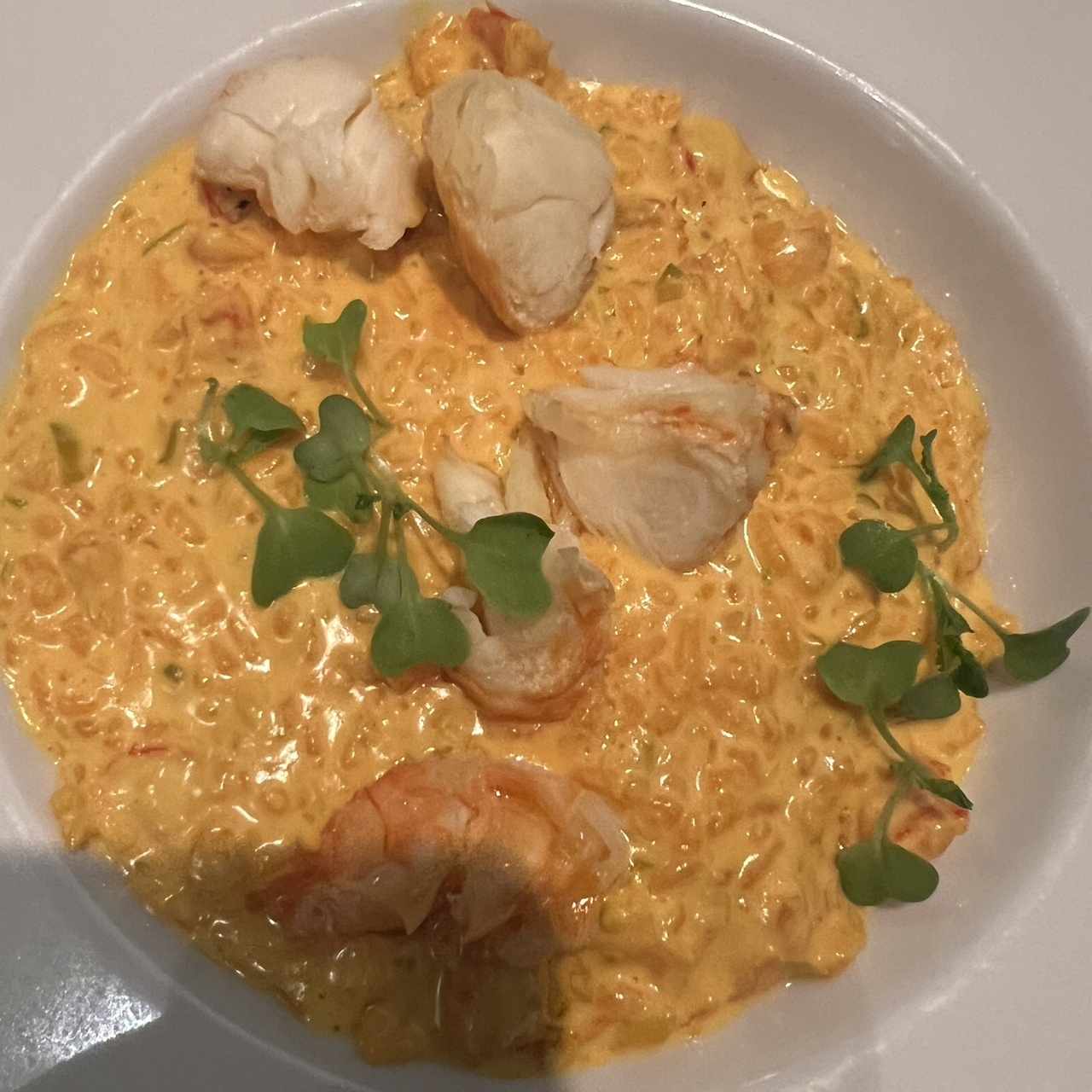 De Temporada - Risotto de Langosta