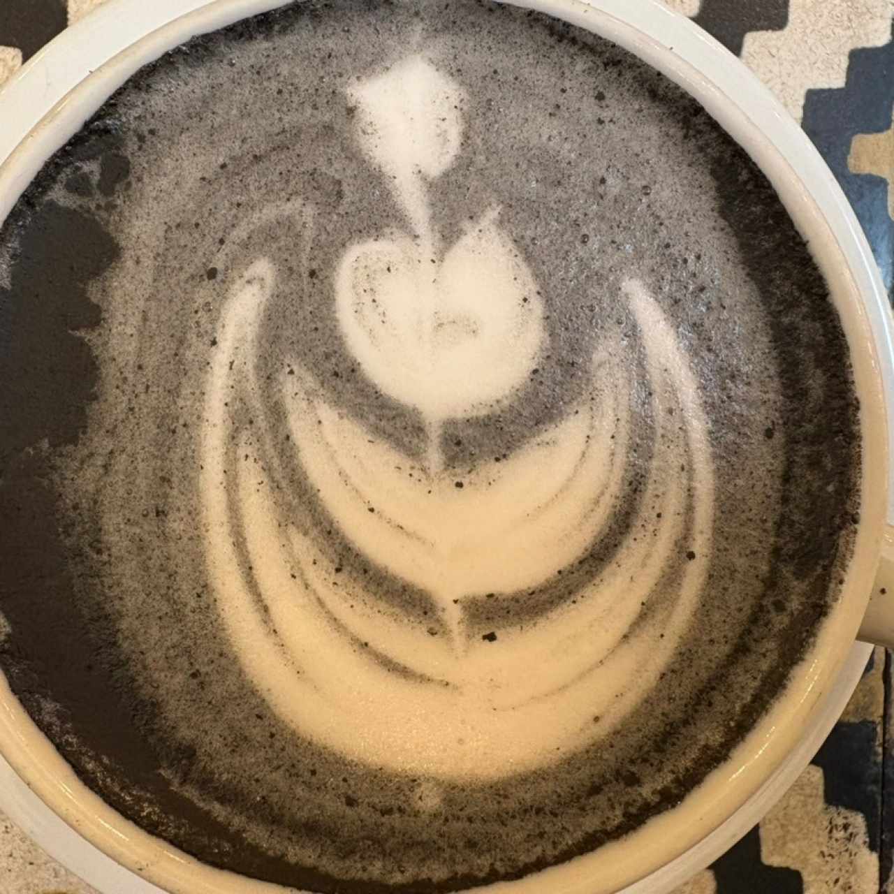 Chai carbón 
